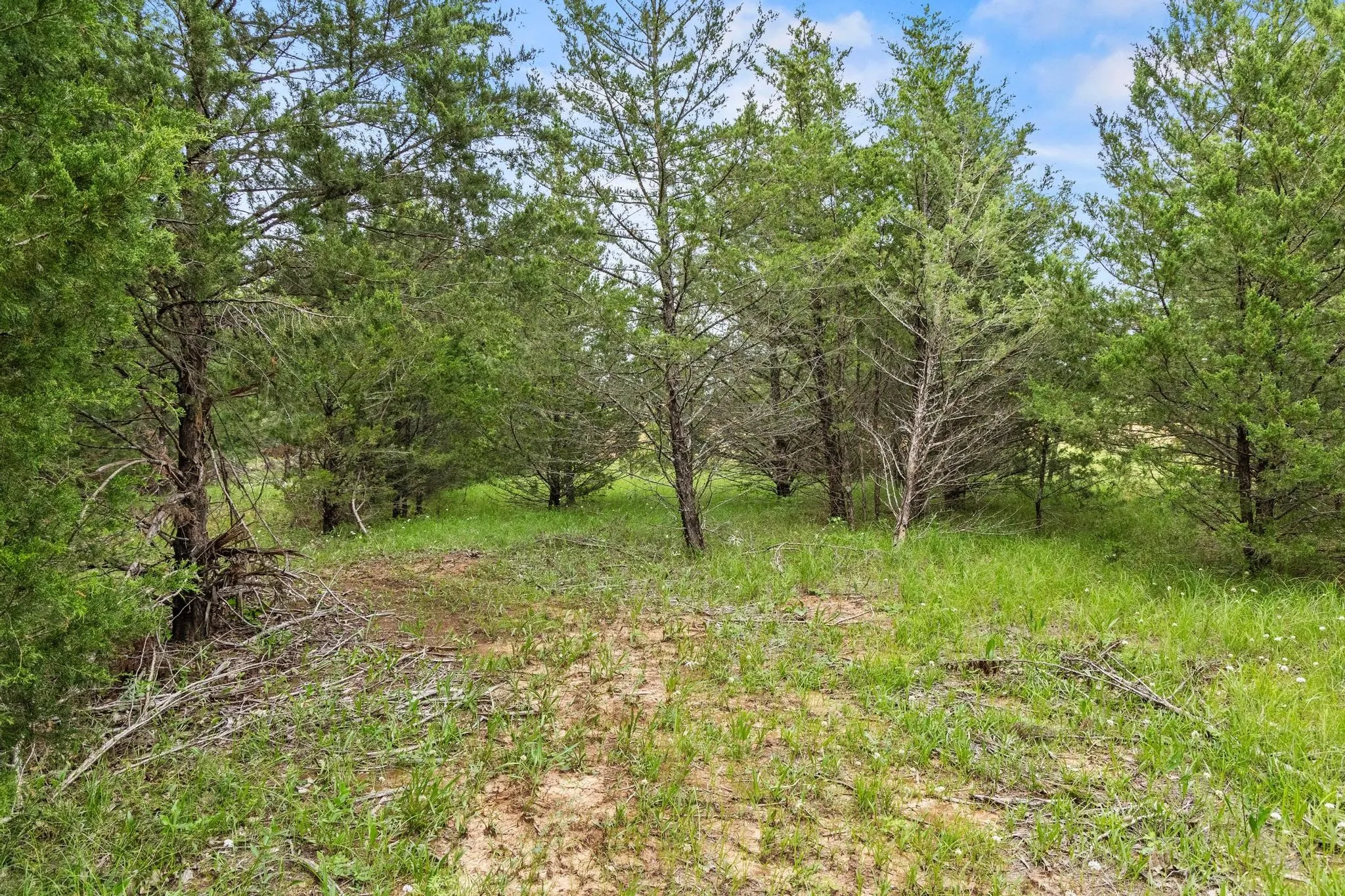 Unimproved Land For Sale in Fannin County , 0000 CR 2680, Bonham, Texas 75418, 0, 0, Garage spaces, 0 Sqft, built in 0, Price $774,111, mls#21220113, Real Estate Agent in Bonham, Homes For Sale in Fannin county, Homes For Sale in Bonham, Realtor in Bonham Texas, Real Estate Brokerage Independent Realty Texas, Luminita Cordes Realtor