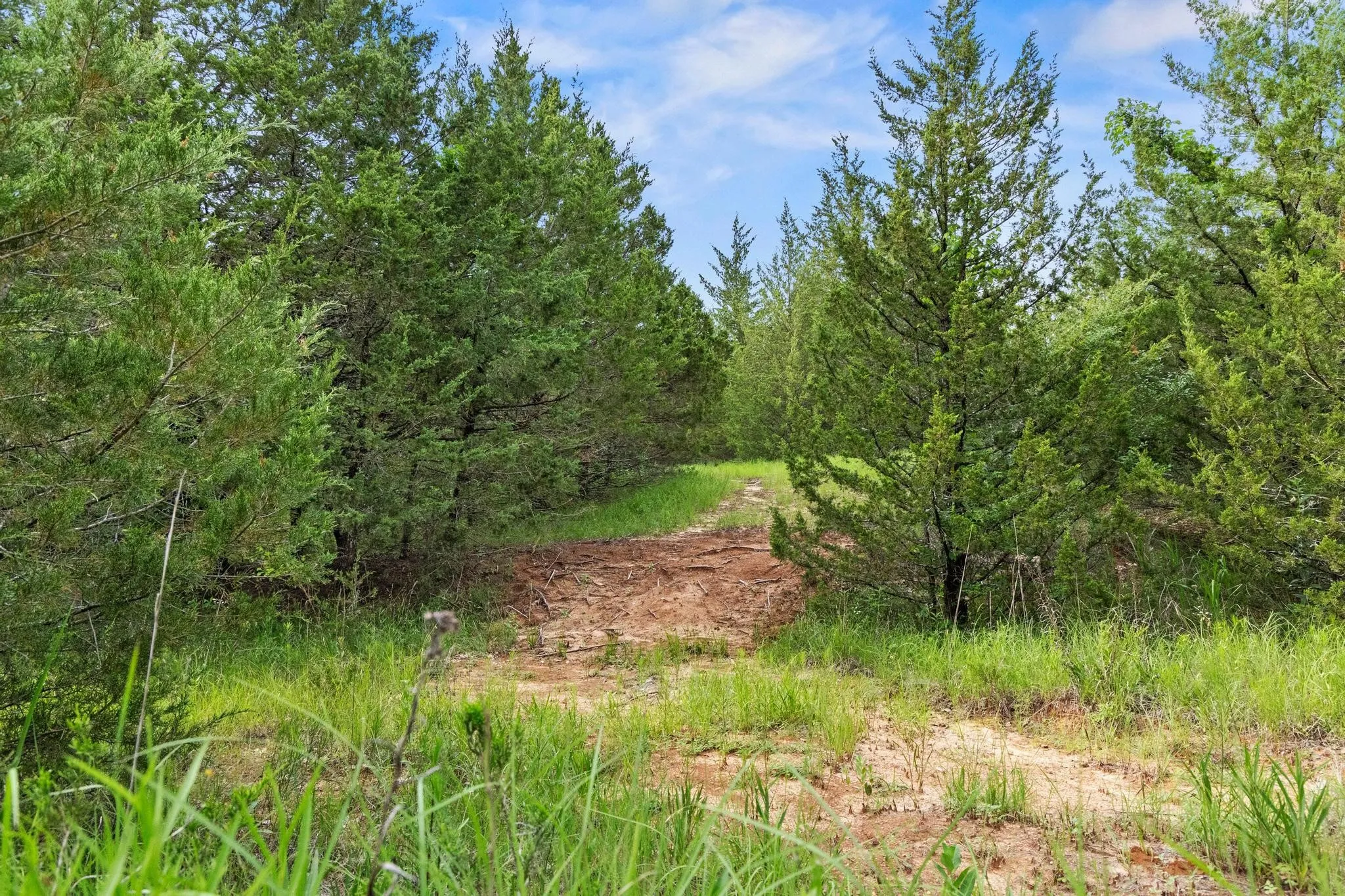 Unimproved Land For Sale in Fannin County , 0000 CR 2680, Bonham, Texas 75418, 0, 0, Garage spaces, 0 Sqft, built in 0, Price $774,111, mls#21220113, Real Estate Agent in Bonham, Homes For Sale in Fannin county, Homes For Sale in Bonham, Realtor in Bonham Texas, Real Estate Brokerage Independent Realty Texas, Luminita Cordes Realtor