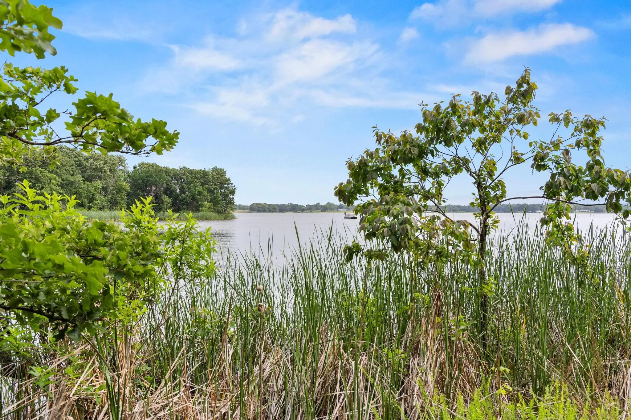 Unimproved Land For Sale in Fannin County , 0000 CR 2680, Bonham, Texas 75418, 0, 0, Garage spaces, 0 Sqft, built in 0, Price $774,111, mls#21220113, Real Estate Agent in Bonham, Homes For Sale in Fannin county, Homes For Sale in Bonham, Realtor in Bonham Texas, Real Estate Brokerage Independent Realty Texas, Luminita Cordes Realtor
