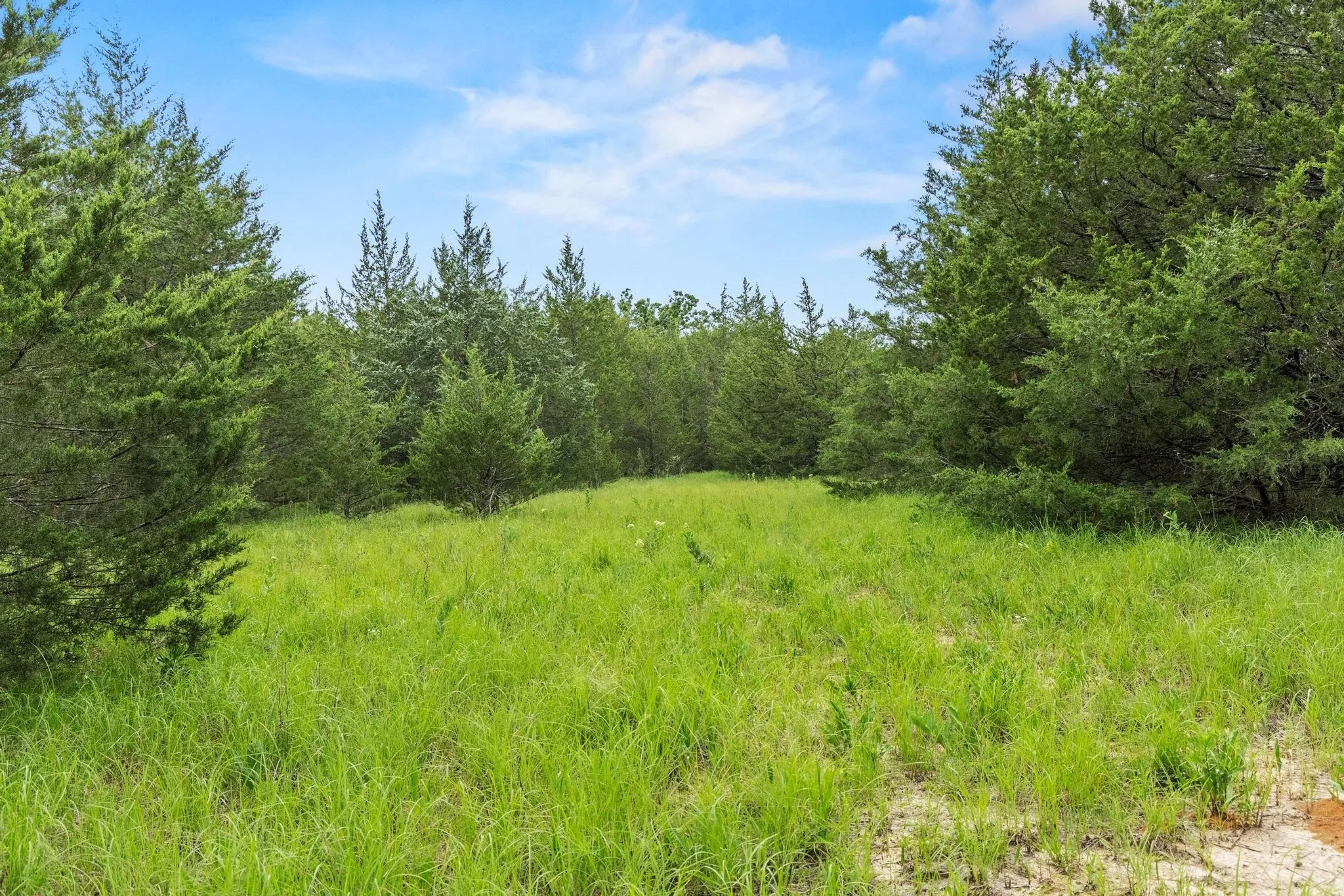 Unimproved Land For Sale in Fannin County , 0000 CR 2680, Bonham, Texas 75418, 0, 0, Garage spaces, 0 Sqft, built in 0, Price $774,111, mls#21220113, Real Estate Agent in Bonham, Homes For Sale in Fannin county, Homes For Sale in Bonham, Realtor in Bonham Texas, Real Estate Brokerage Independent Realty Texas, Luminita Cordes Realtor