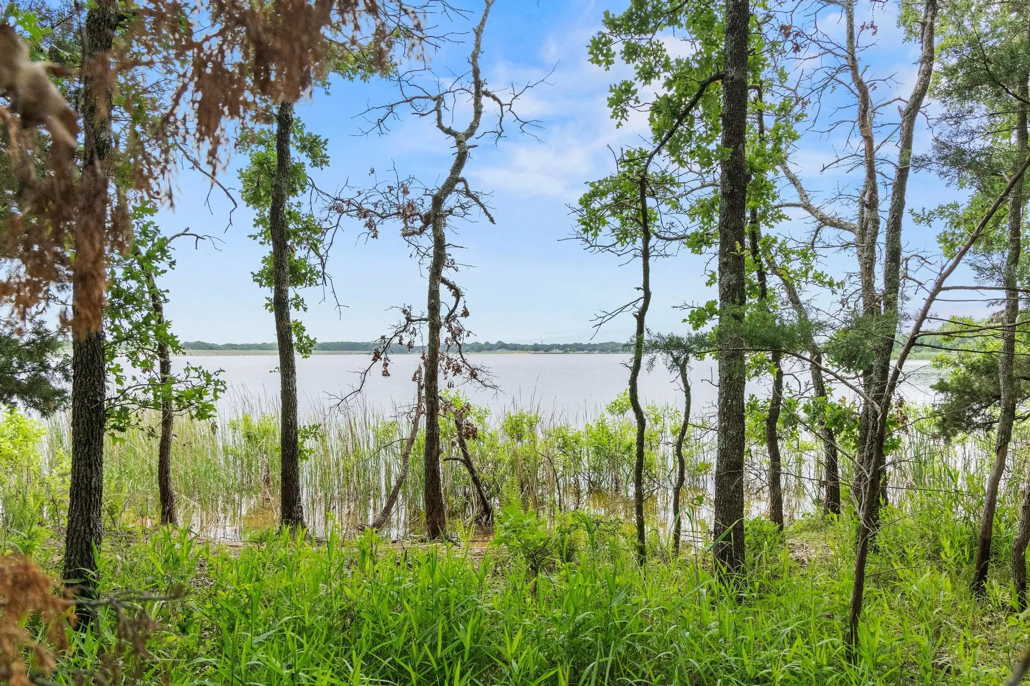 Unimproved Land For Sale in Fannin County , 0000 CR 2680, Bonham, Texas 75418, 0, 0, Garage spaces, 0 Sqft, built in 0, Price $774,111, mls#21220113, Real Estate Agent in Bonham, Homes For Sale in Fannin county, Homes For Sale in Bonham, Realtor in Bonham Texas, Real Estate Brokerage Independent Realty Texas, Luminita Cordes Realtor
