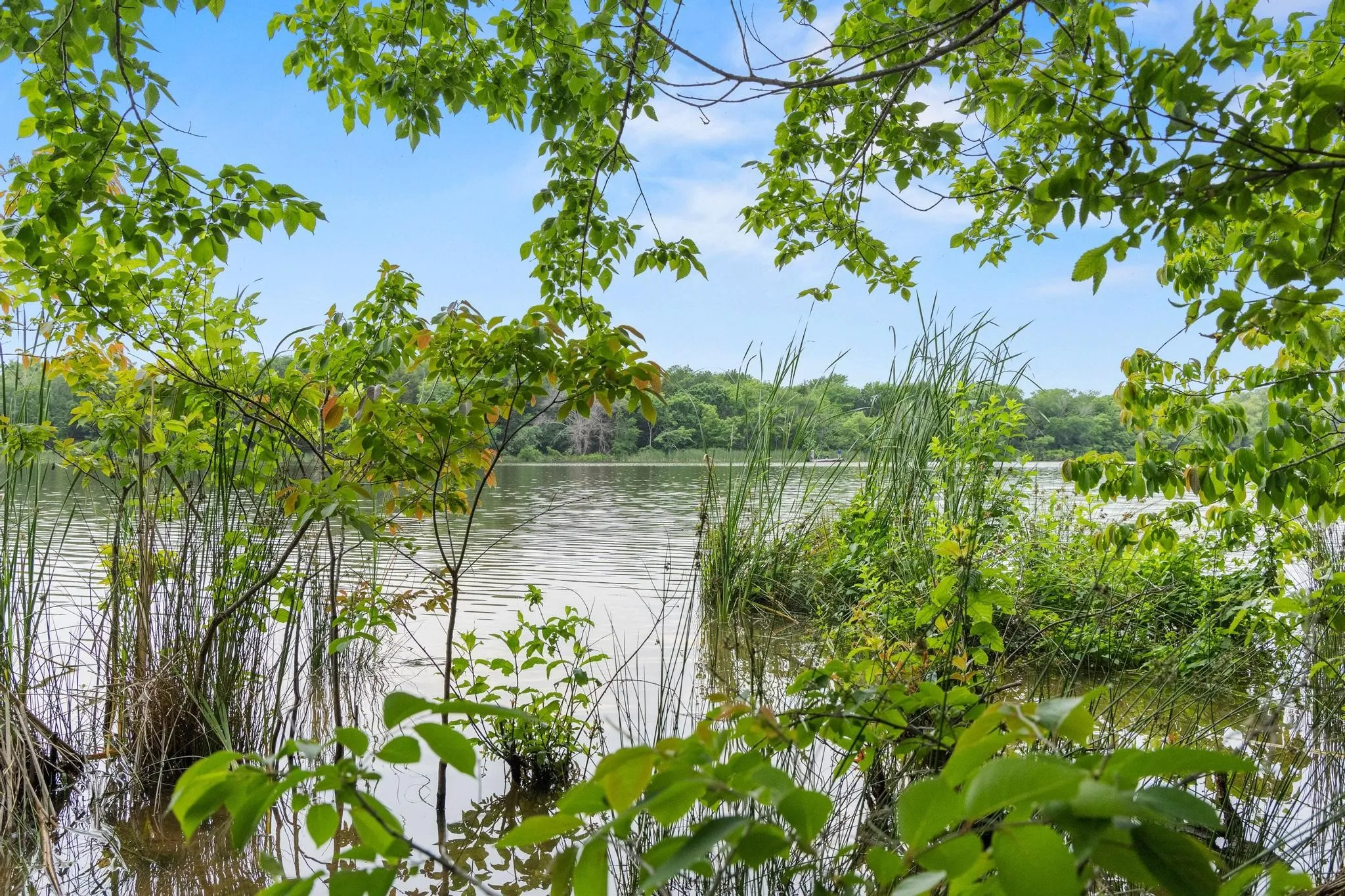 Unimproved Land For Sale in Fannin County , 0000 CR 2680, Bonham, Texas 75418, 0, 0, Garage spaces, 0 Sqft, built in 0, Price $774,111, mls#21220113, Real Estate Agent in Bonham, Homes For Sale in Fannin county, Homes For Sale in Bonham, Realtor in Bonham Texas, Real Estate Brokerage Independent Realty Texas, Luminita Cordes Realtor