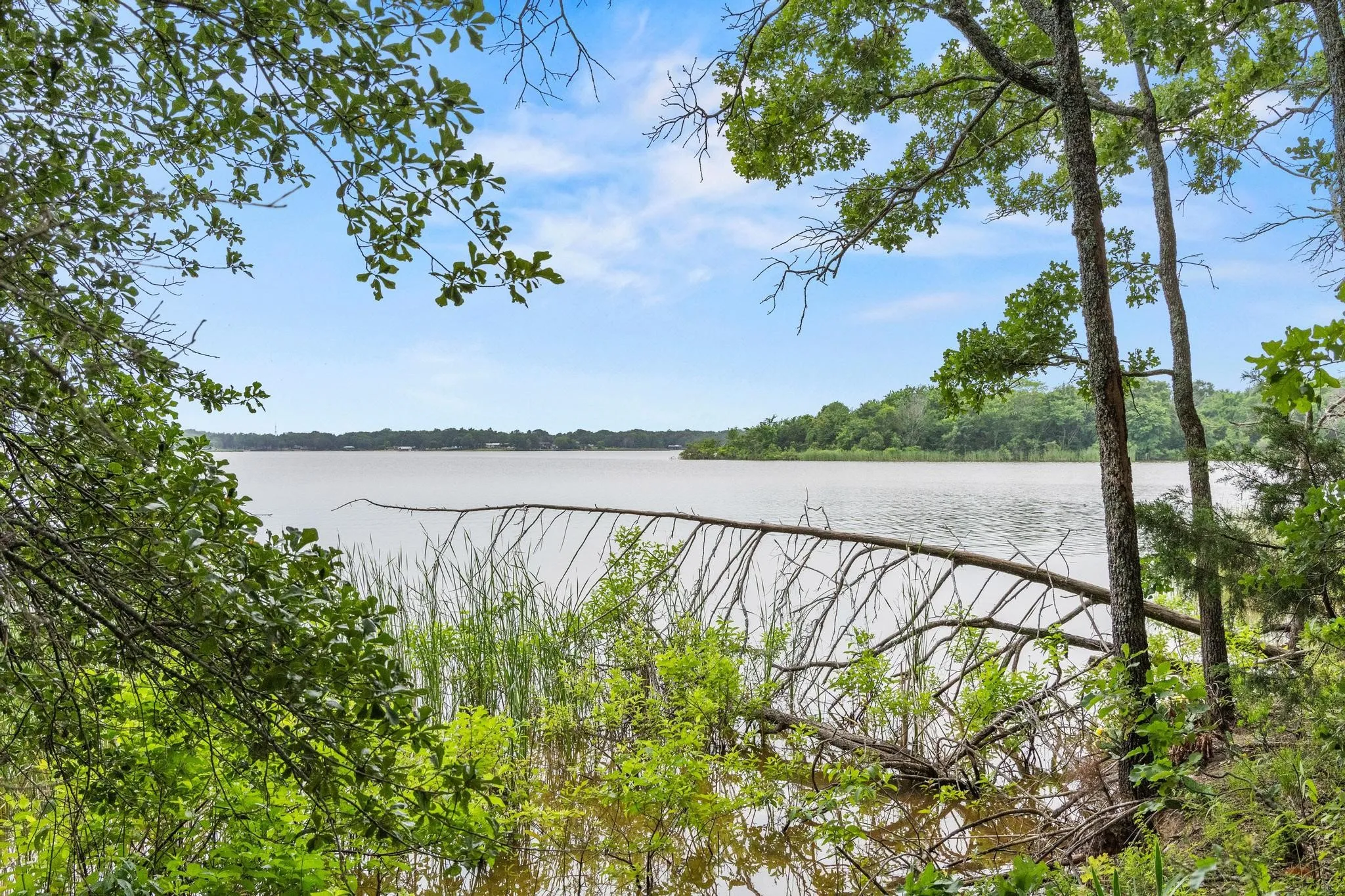 Unimproved Land For Sale in Fannin County , 0000 CR 2680, Bonham, Texas 75418, 0, 0, Garage spaces, 0 Sqft, built in 0, Price $774,111, mls#21220113, Real Estate Agent in Bonham, Homes For Sale in Fannin county, Homes For Sale in Bonham, Realtor in Bonham Texas, Real Estate Brokerage Independent Realty Texas, Luminita Cordes Realtor