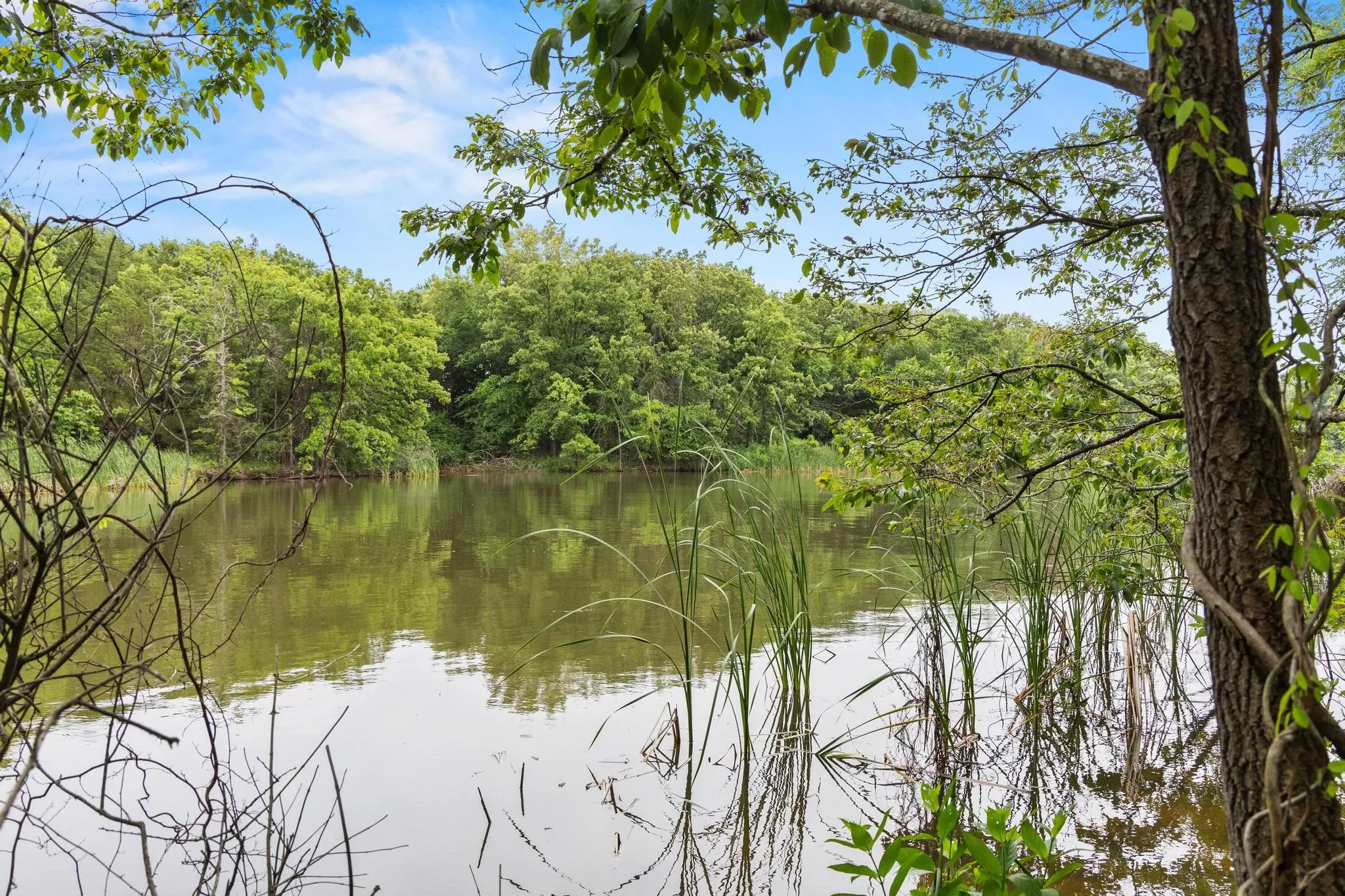 Unimproved Land For Sale in Fannin County , 0000 CR 2680, Bonham, Texas 75418, 0, 0, Garage spaces, 0 Sqft, built in 0, Price $774,111, mls#21220113, Real Estate Agent in Bonham, Homes For Sale in Fannin county, Homes For Sale in Bonham, Realtor in Bonham Texas, Real Estate Brokerage Independent Realty Texas, Luminita Cordes Realtor