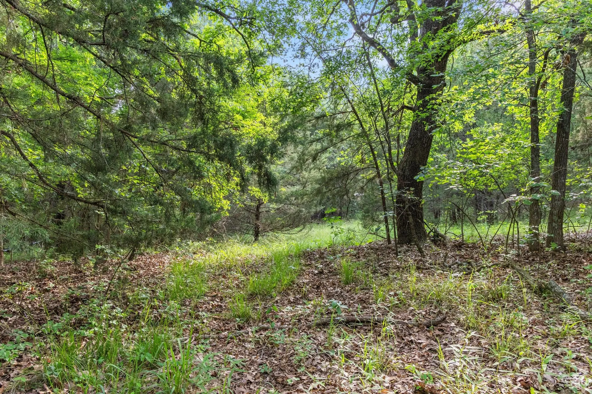 Unimproved Land For Sale in Fannin County , 0000 CR 2680, Bonham, Texas 75418, 0, 0, Garage spaces, 0 Sqft, built in 0, Price $774,111, mls#21220113, Real Estate Agent in Bonham, Homes For Sale in Fannin county, Homes For Sale in Bonham, Realtor in Bonham Texas, Real Estate Brokerage Independent Realty Texas, Luminita Cordes Realtor
