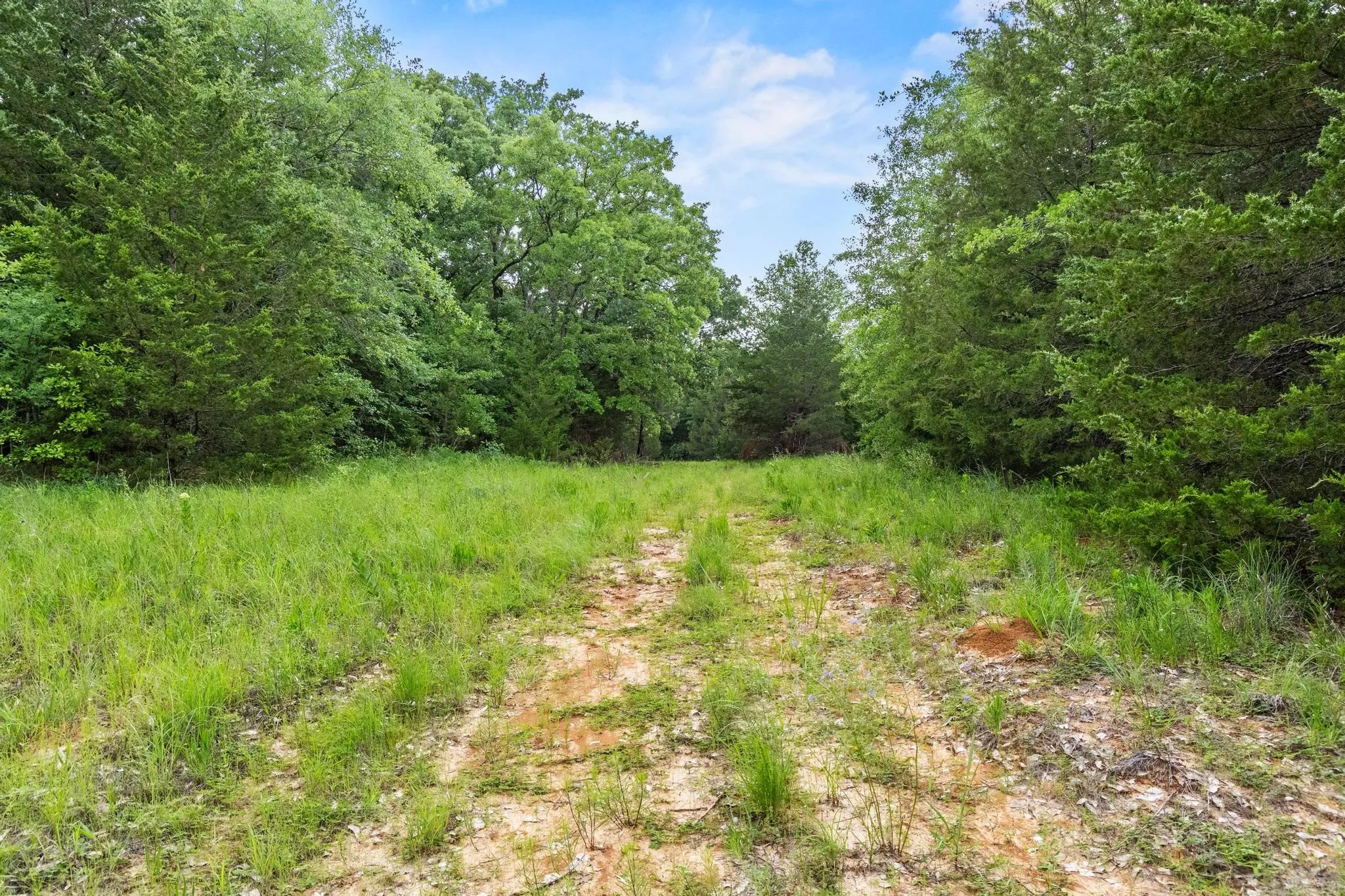 Unimproved Land For Sale in Fannin County , 0000 CR 2680, Bonham, Texas 75418, 0, 0, Garage spaces, 0 Sqft, built in 0, Price $774,111, mls#21220113, Real Estate Agent in Bonham, Homes For Sale in Fannin county, Homes For Sale in Bonham, Realtor in Bonham Texas, Real Estate Brokerage Independent Realty Texas, Luminita Cordes Realtor