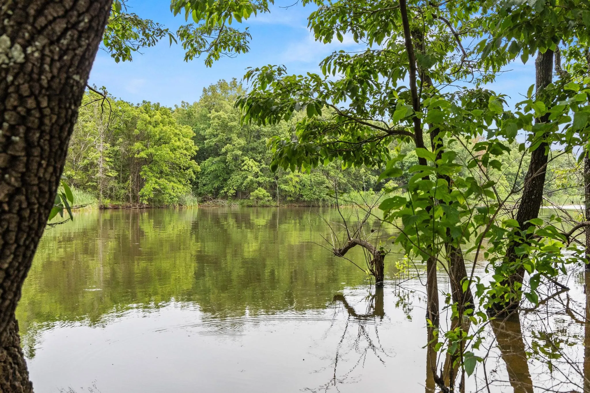Unimproved Land For Sale in Fannin County , 0000 CR 2680, Bonham, Texas 75418, 0, 0, Garage spaces, 0 Sqft, built in 0, Price $774,111, mls#21220113, Real Estate Agent in Bonham, Homes For Sale in Fannin county, Homes For Sale in Bonham, Realtor in Bonham Texas, Real Estate Brokerage Independent Realty Texas, Luminita Cordes Realtor
