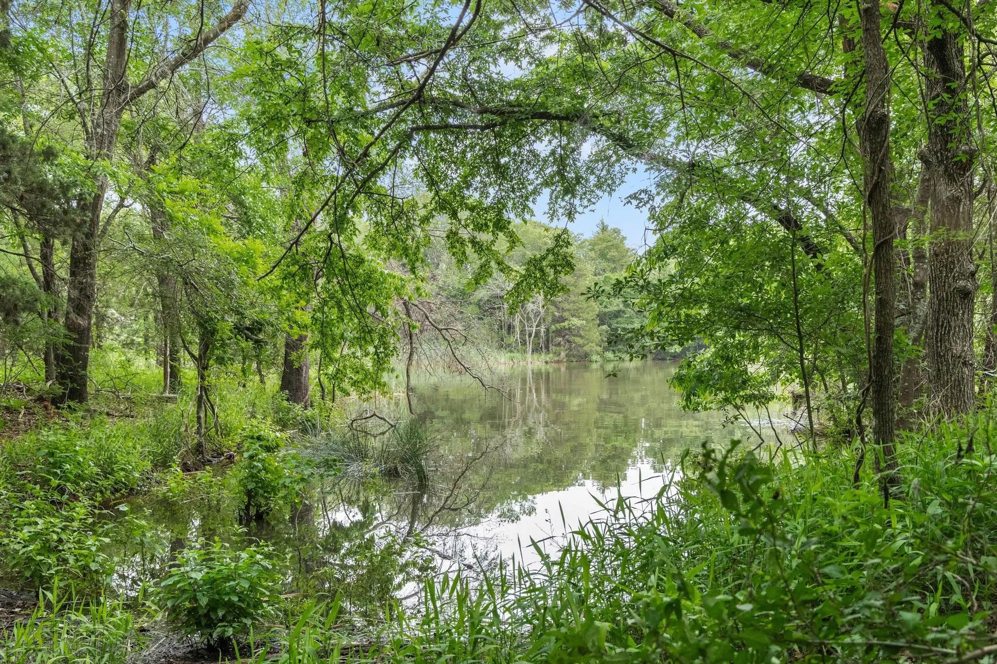 Unimproved Land For Sale in Fannin County , 0000 CR 2680, Bonham, Texas 75418, 0, 0, Garage spaces, 0 Sqft, built in 0, Price $774,111, mls#21220113, Real Estate Agent in Bonham, Homes For Sale in Fannin county, Homes For Sale in Bonham, Realtor in Bonham Texas, Real Estate Brokerage Independent Realty Texas, Luminita Cordes Realtor