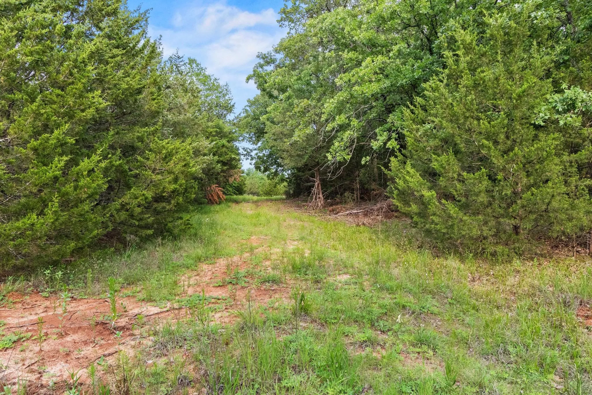 Unimproved Land For Sale in Fannin County , 0000 CR 2680, Bonham, Texas 75418, 0, 0, Garage spaces, 0 Sqft, built in 0, Price $774,111, mls#21220113, Real Estate Agent in Bonham, Homes For Sale in Fannin county, Homes For Sale in Bonham, Realtor in Bonham Texas, Real Estate Brokerage Independent Realty Texas, Luminita Cordes Realtor