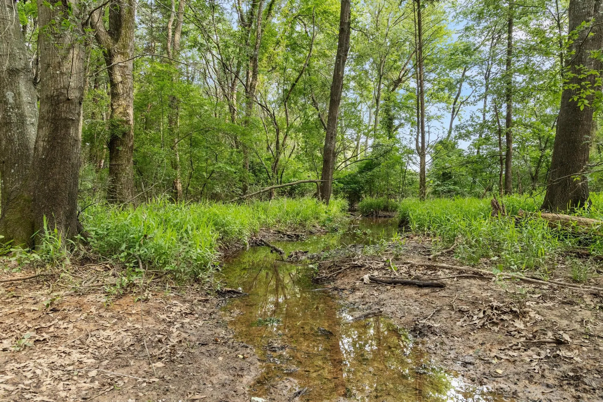 Unimproved Land For Sale in Fannin County , 0000 CR 2680, Bonham, Texas 75418, 0, 0, Garage spaces, 0 Sqft, built in 0, Price $774,111, mls#21220113, Real Estate Agent in Bonham, Homes For Sale in Fannin county, Homes For Sale in Bonham, Realtor in Bonham Texas, Real Estate Brokerage Independent Realty Texas, Luminita Cordes Realtor