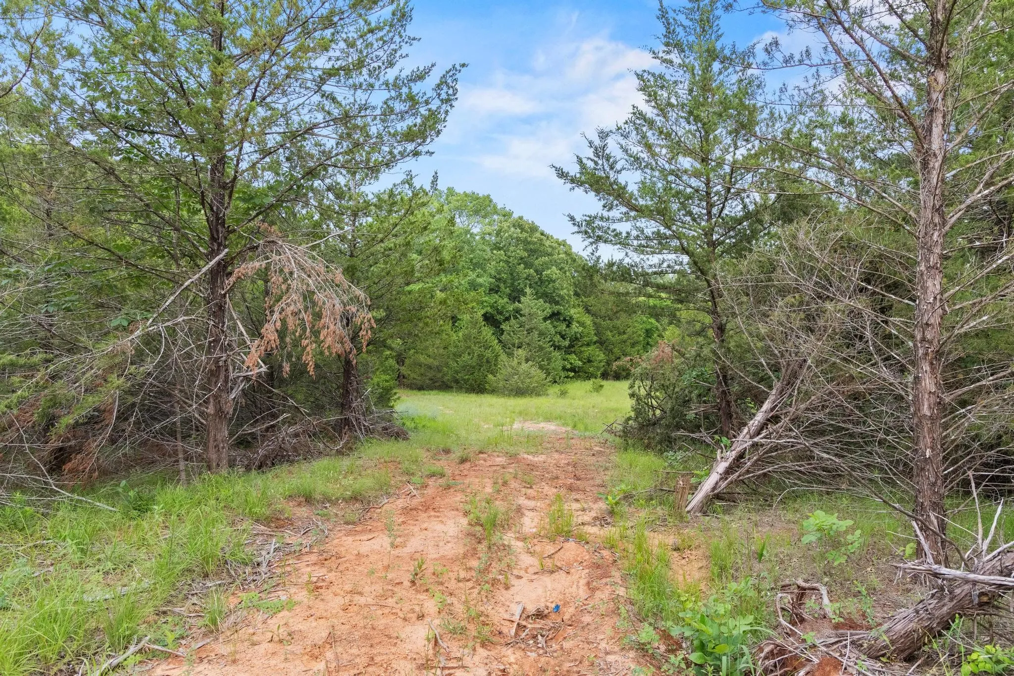 Unimproved Land For Sale in Fannin County , 0000 CR 2680, Bonham, Texas 75418, 0, 0, Garage spaces, 0 Sqft, built in 0, Price $774,111, mls#21220113, Real Estate Agent in Bonham, Homes For Sale in Fannin county, Homes For Sale in Bonham, Realtor in Bonham Texas, Real Estate Brokerage Independent Realty Texas, Luminita Cordes Realtor