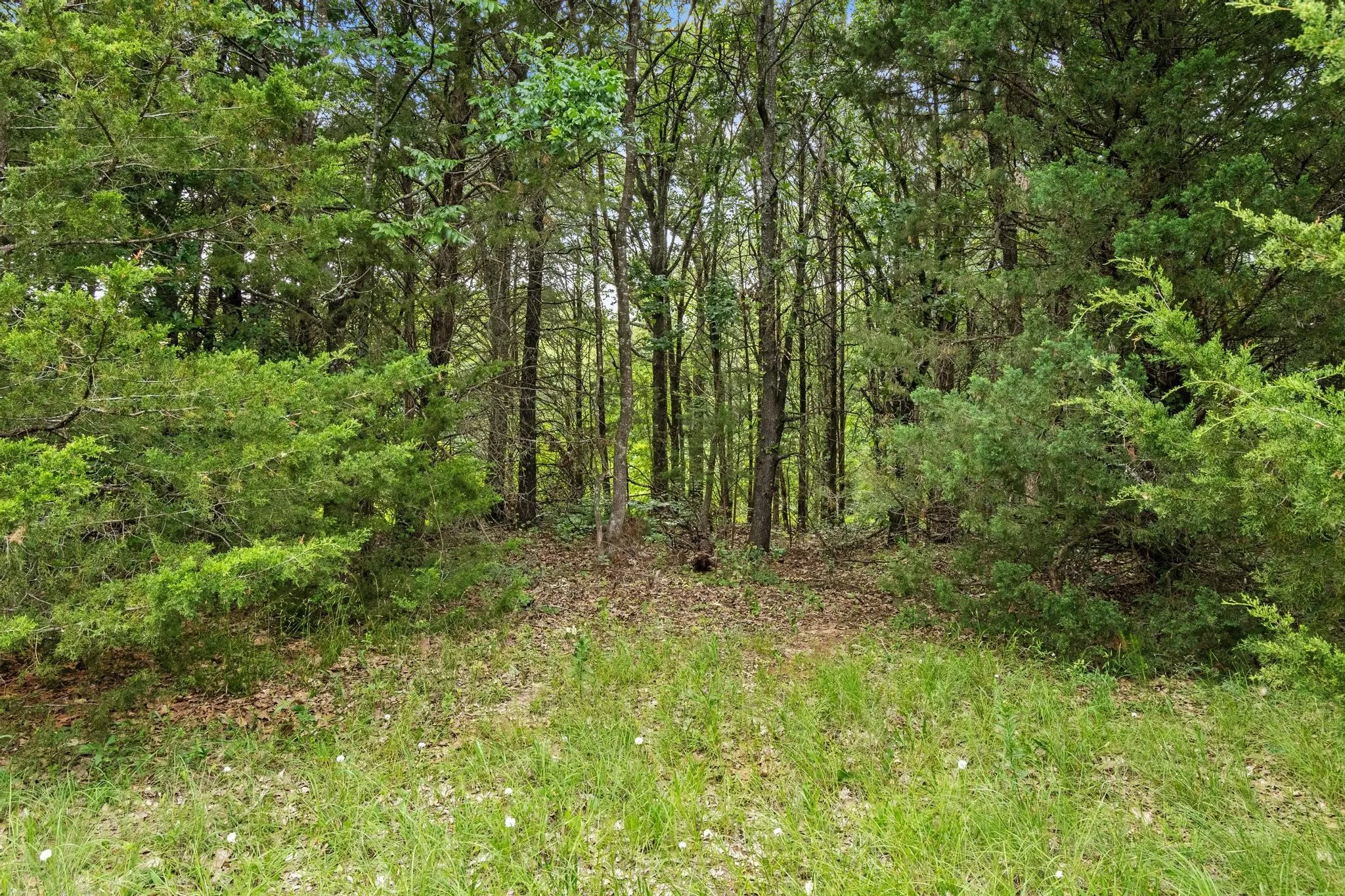 Unimproved Land For Sale in Fannin County , 0000 CR 2680, Bonham, Texas 75418, 0, 0, Garage spaces, 0 Sqft, built in 0, Price $774,111, mls#21220113, Real Estate Agent in Bonham, Homes For Sale in Fannin county, Homes For Sale in Bonham, Realtor in Bonham Texas, Real Estate Brokerage Independent Realty Texas, Luminita Cordes Realtor