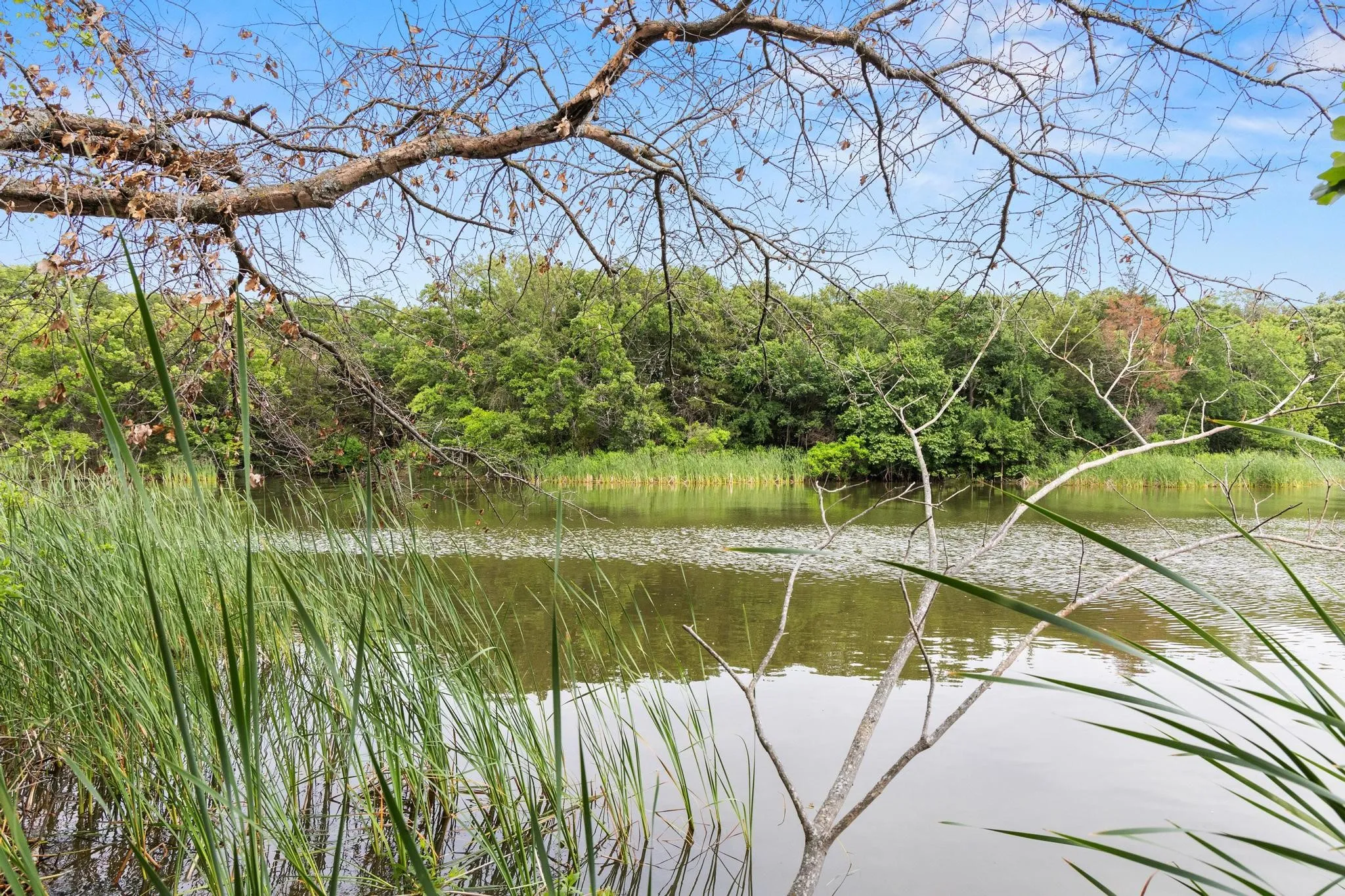 Unimproved Land For Sale in Fannin County , 0000 CR 2680, Bonham, Texas 75418, 0, 0, Garage spaces, 0 Sqft, built in 0, Price $774,111, mls#21220113, Real Estate Agent in Bonham, Homes For Sale in Fannin county, Homes For Sale in Bonham, Realtor in Bonham Texas, Real Estate Brokerage Independent Realty Texas, Luminita Cordes Realtor