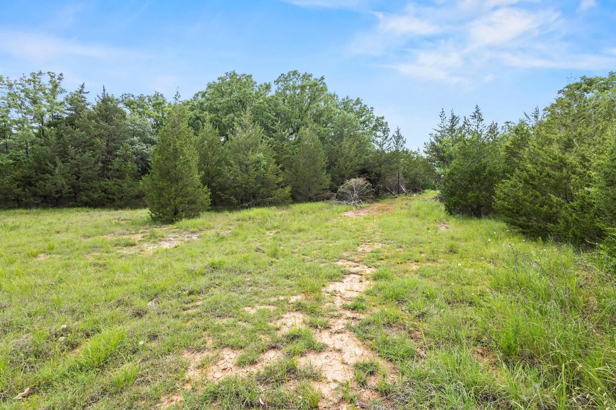 Unimproved Land For Sale in Fannin County , 0000 CR 2680, Bonham, Texas 75418, 0, 0, Garage spaces, 0 Sqft, built in 0, Price $774,111, mls#21220113, Real Estate Agent in Bonham, Homes For Sale in Fannin county, Homes For Sale in Bonham, Realtor in Bonham Texas, Real Estate Brokerage Independent Realty Texas, Luminita Cordes Realtor