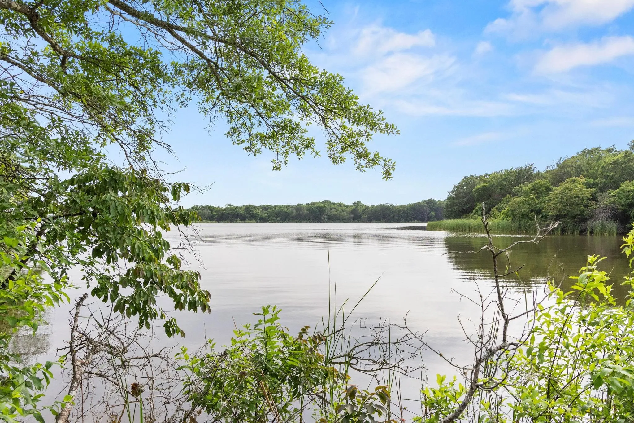 Unimproved Land For Sale in Fannin County , 0000 CR 2680, Bonham, Texas 75418, 0, 0, Garage spaces, 0 Sqft, built in 0, Price $774,111, mls#21220113, Real Estate Agent in Bonham, Homes For Sale in Fannin county, Homes For Sale in Bonham, Realtor in Bonham Texas, Real Estate Brokerage Independent Realty Texas, Luminita Cordes Realtor