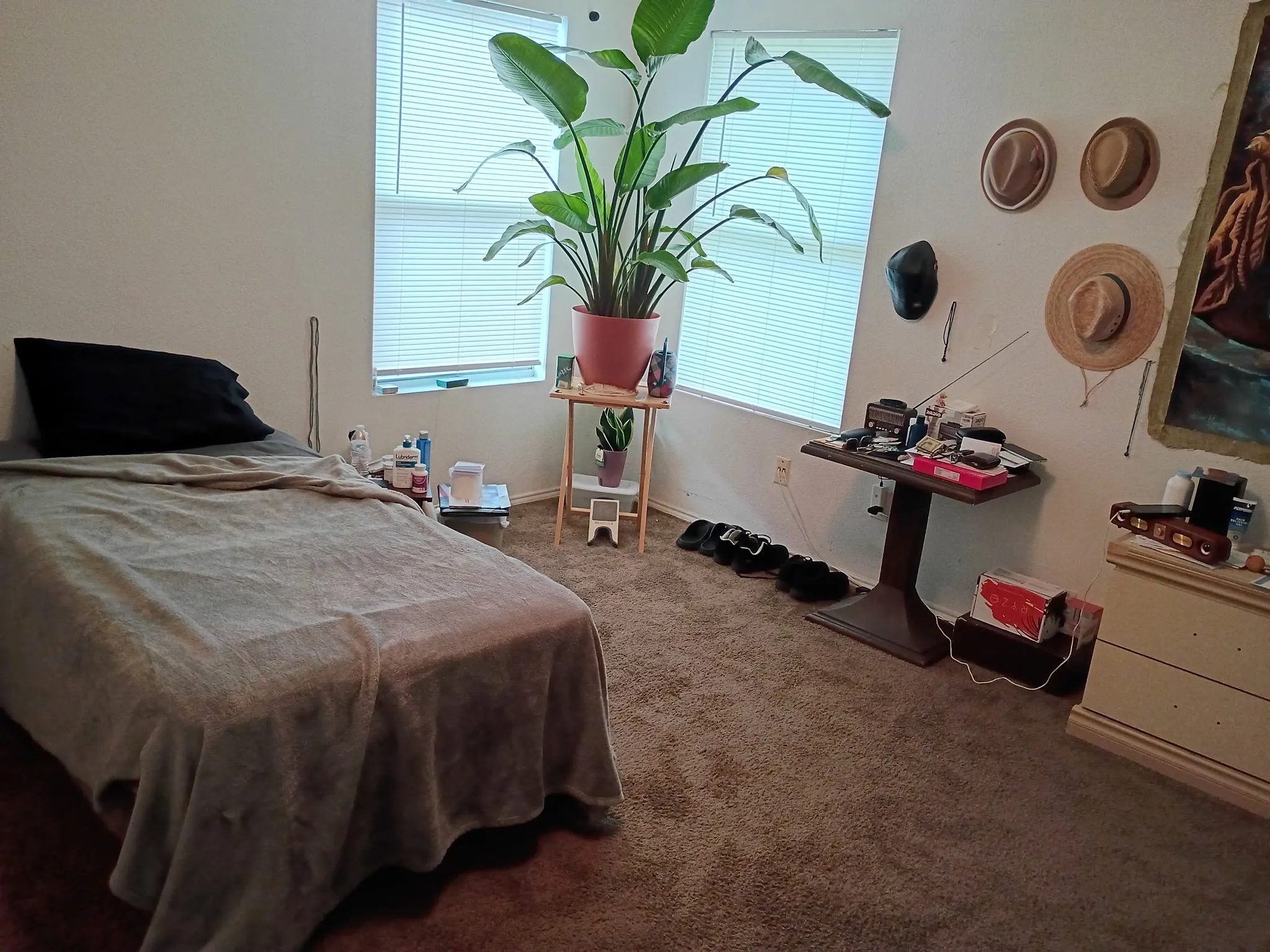 Bedroom featuring carpet