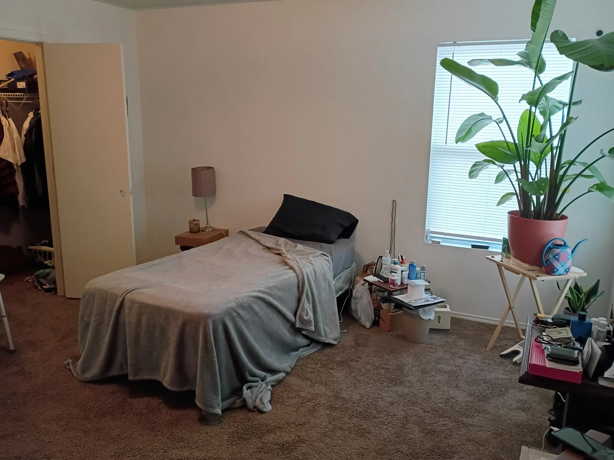 Bedroom featuring dark colored carpet and a spacious closet