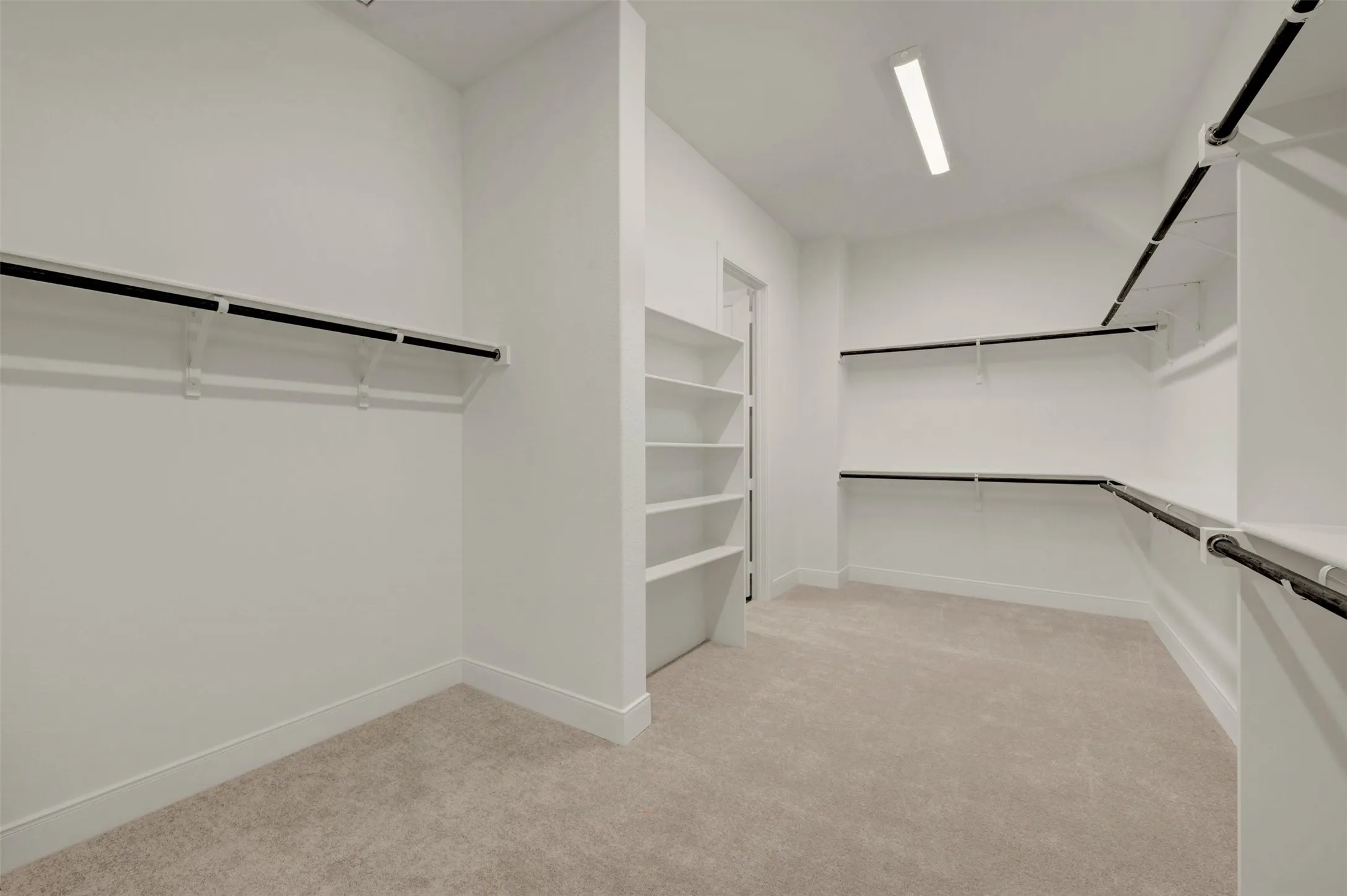 Walk-in closet featuring light beige carpeting, white walls, built-in shelving, and multiple hanging rods