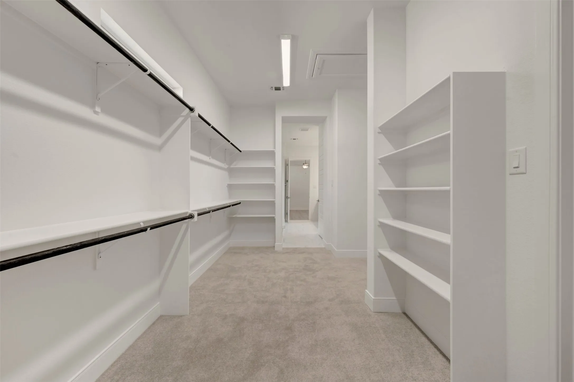 Spacious walk-in closet featuring light-toned carpeting, white walls, and extensive built-in shelving