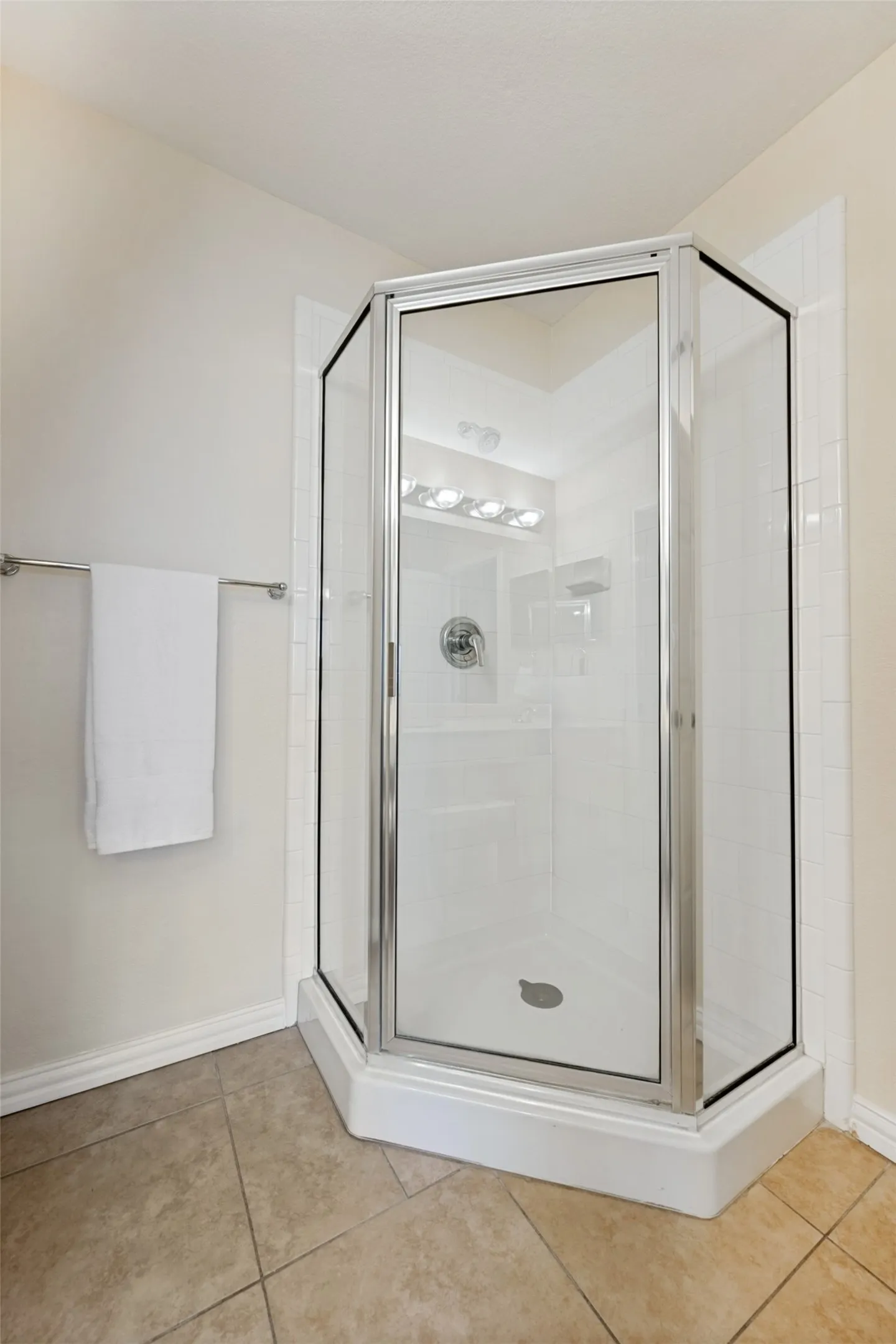 Master Bathroom Shower