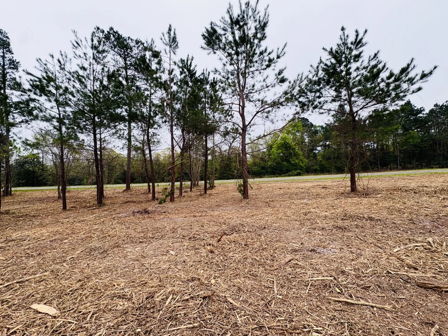 Unimproved Land For Sale in Shelby County , TBD (Tract B) FM 711, Center, Texas 75935, 0, 0, Garage spaces, 0 Sqft, built in 0, Price $145,000, mls#21220486, Real Estate Agent in Center, Homes For Sale in Shelby county, Homes For Sale in Center, Realtor in Center Texas, Real Estate Brokerage Independent Realty Texas, Luminita Cordes Realtor