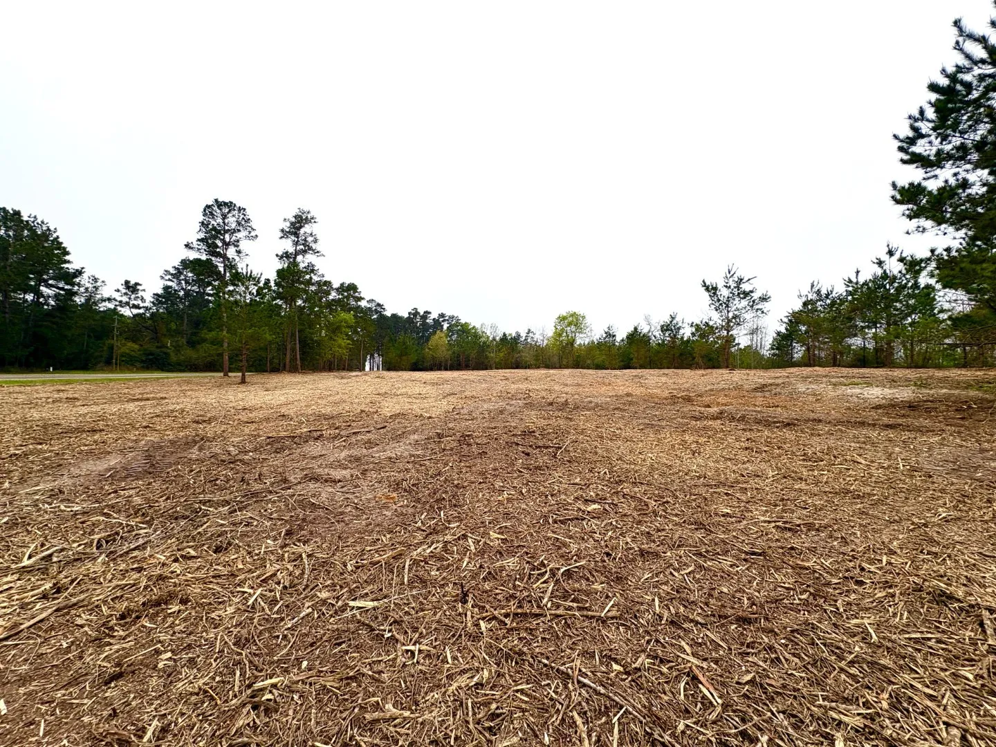 Unimproved Land For Sale in Shelby County , TBD (Tract B) FM 711, Center, Texas 75935, 0, 0, Garage spaces, 0 Sqft, built in 0, Price $145,000, mls#21220486, Real Estate Agent in Center, Homes For Sale in Shelby county, Homes For Sale in Center, Realtor in Center Texas, Real Estate Brokerage Independent Realty Texas, Luminita Cordes Realtor