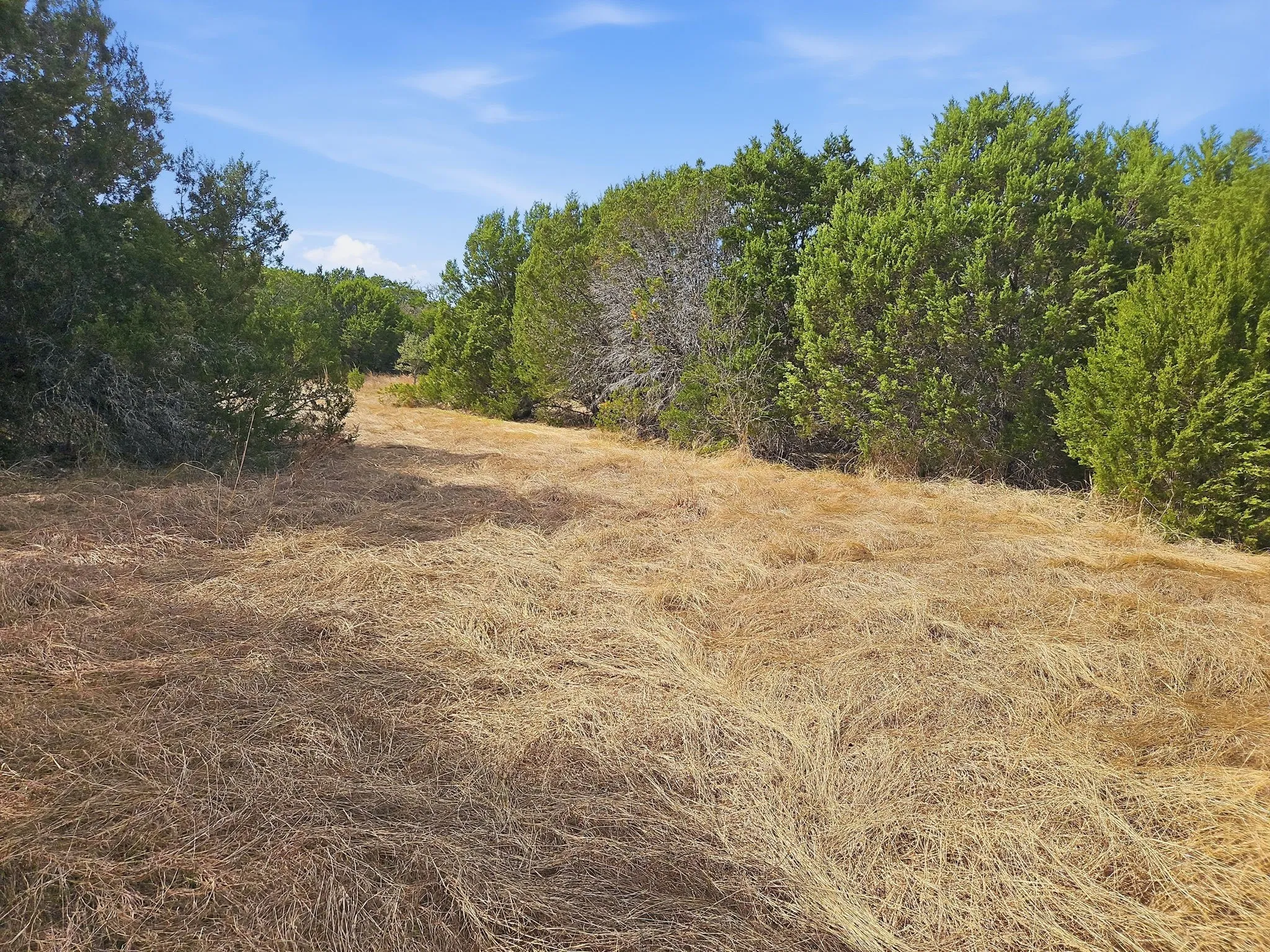 Farm For Sale in Coryell County , 880 County Road 158, Evant, Texas 76525, 3 Bedroom, 2 Bathroom, Garage spaces, 1,596 Sqft, built in 1983, mls#21220503, Real Estate Agent in Evant, Homes For Sale in Coryell county, Homes For Sale in Evant, Realtor in Evant Texas, Real Estate Brokerage Independent Realty Texas, Luminita Cordes Realtor