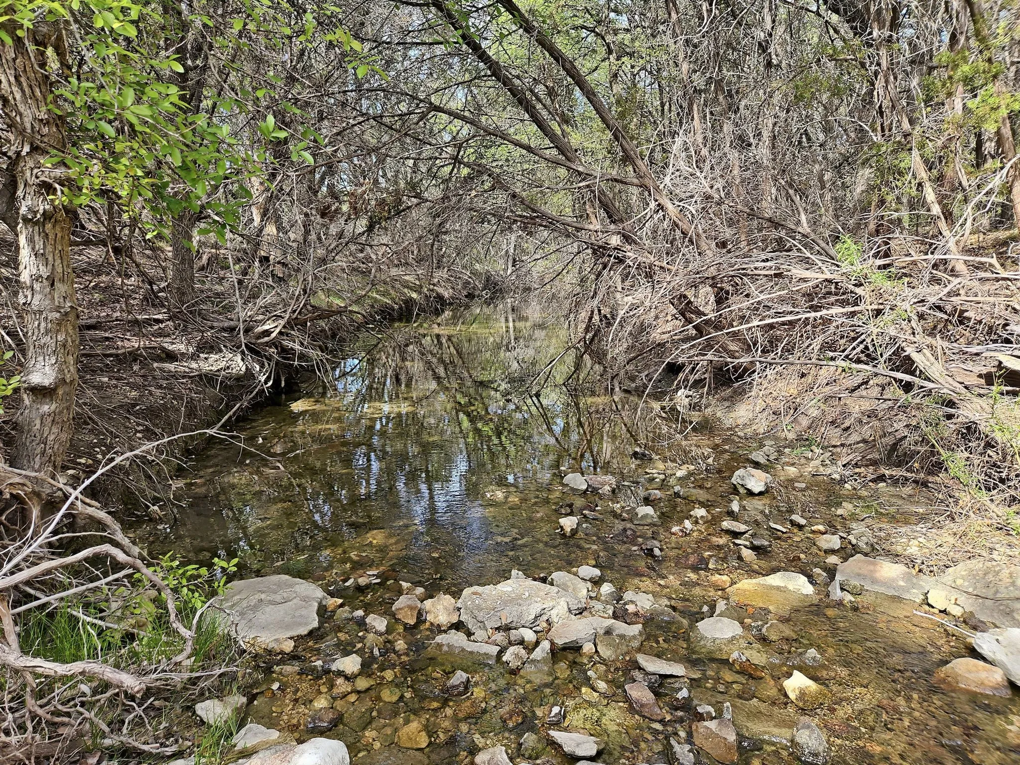Farm For Sale in Coryell County , 880 County Road 158, Evant, Texas 76525, 3 Bedroom, 2 Bathroom, Garage spaces, 1,596 Sqft, built in 1983, mls#21220503, Real Estate Agent in Evant, Homes For Sale in Coryell county, Homes For Sale in Evant, Realtor in Evant Texas, Real Estate Brokerage Independent Realty Texas, Luminita Cordes Realtor