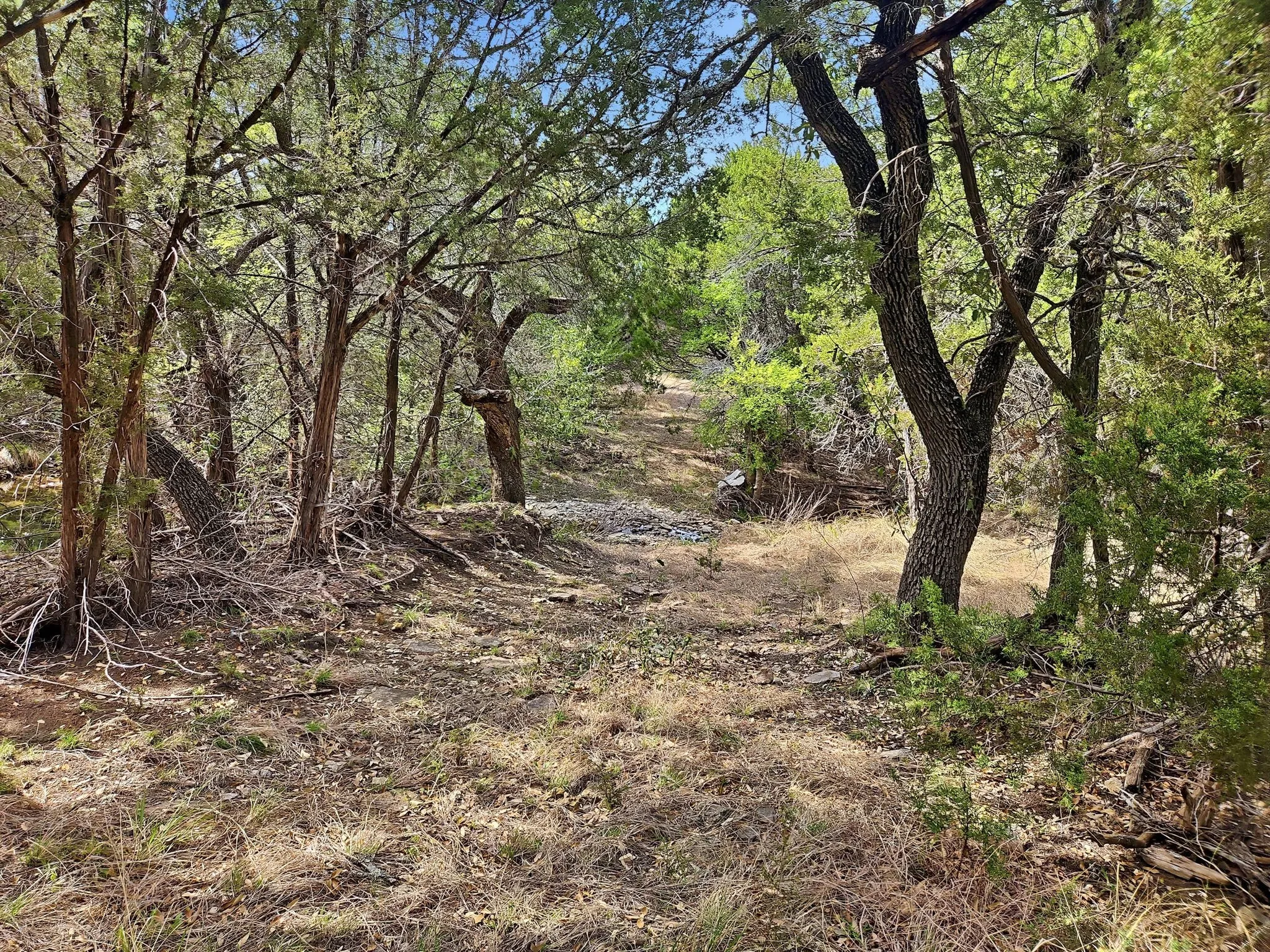 Farm For Sale in Coryell County , 880 County Road 158, Evant, Texas 76525, 3 Bedroom, 2 Bathroom, Garage spaces, 1,596 Sqft, built in 1983, mls#21220503, Real Estate Agent in Evant, Homes For Sale in Coryell county, Homes For Sale in Evant, Realtor in Evant Texas, Real Estate Brokerage Independent Realty Texas, Luminita Cordes Realtor