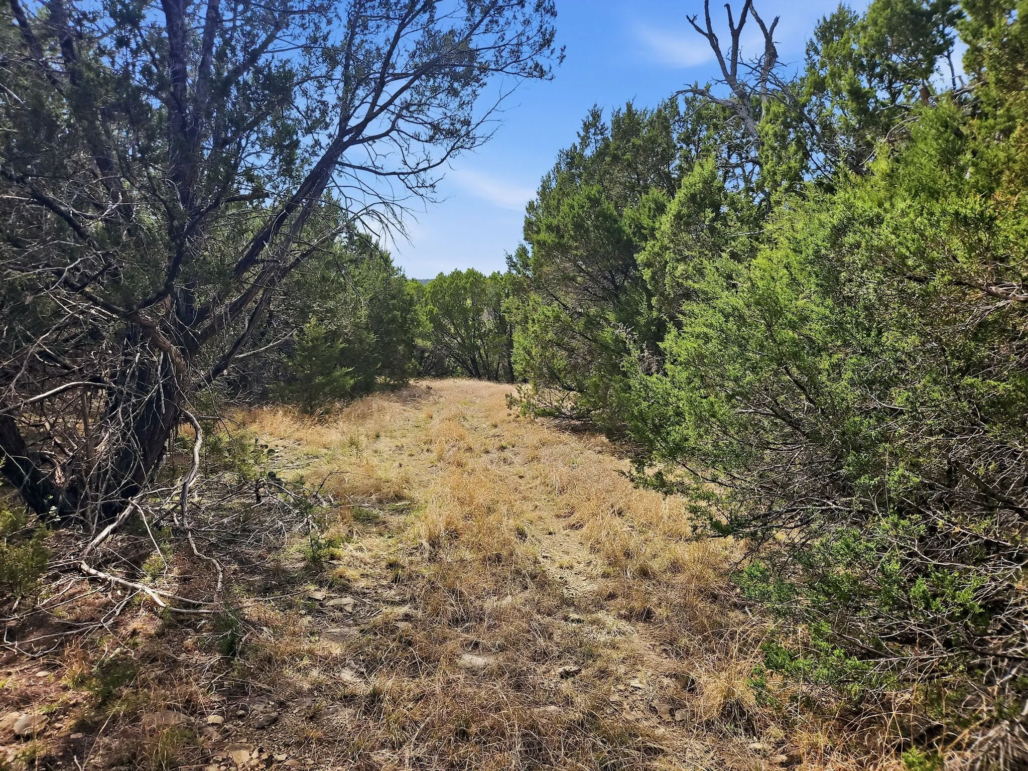 Farm For Sale in Coryell County , 880 County Road 158, Evant, Texas 76525, 3 Bedroom, 2 Bathroom, Garage spaces, 1,596 Sqft, built in 1983, mls#21220503, Real Estate Agent in Evant, Homes For Sale in Coryell county, Homes For Sale in Evant, Realtor in Evant Texas, Real Estate Brokerage Independent Realty Texas, Luminita Cordes Realtor