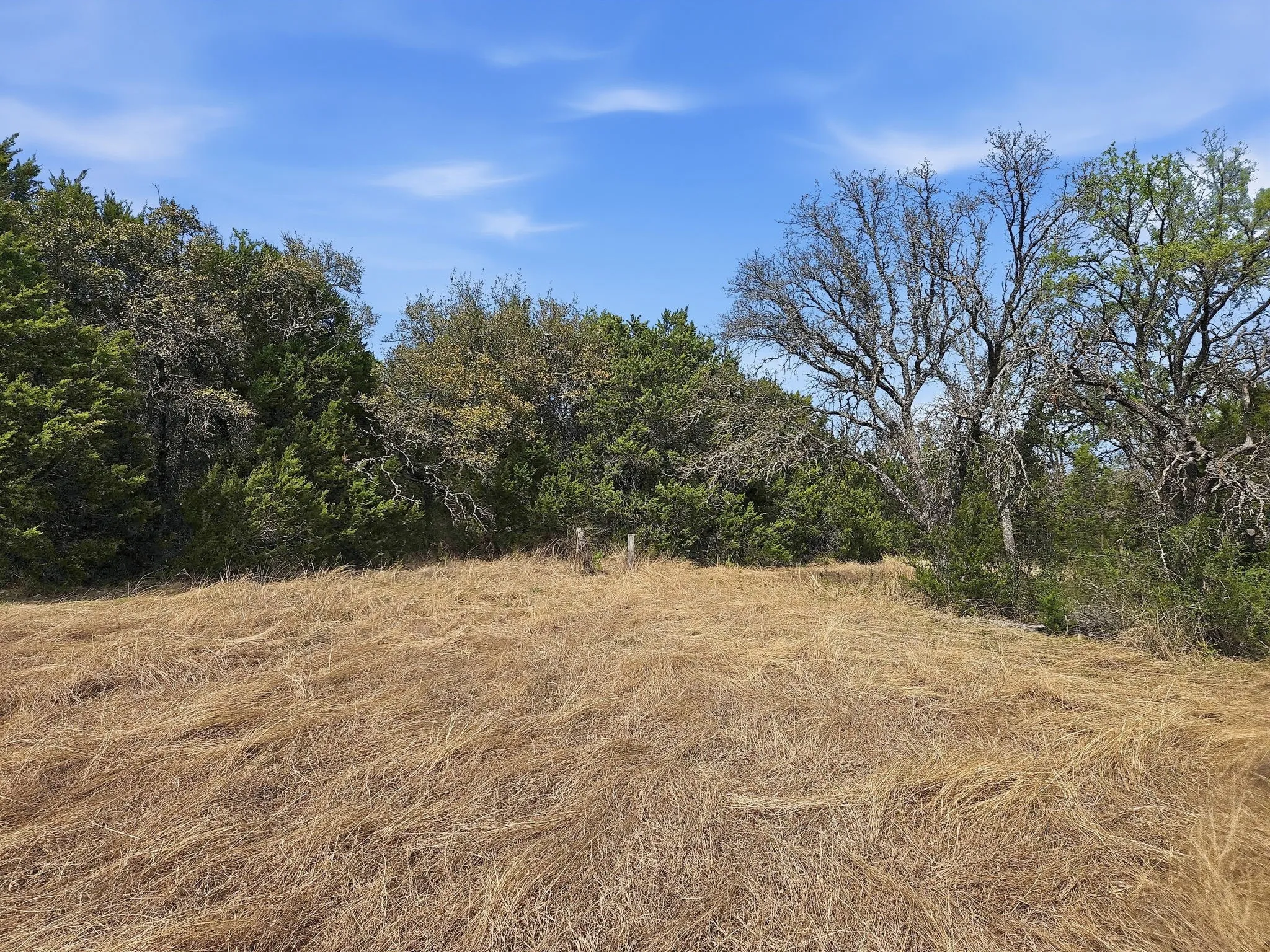 Farm For Sale in Coryell County , 880 County Road 158, Evant, Texas 76525, 3 Bedroom, 2 Bathroom, Garage spaces, 1,596 Sqft, built in 1983, mls#21220503, Real Estate Agent in Evant, Homes For Sale in Coryell county, Homes For Sale in Evant, Realtor in Evant Texas, Real Estate Brokerage Independent Realty Texas, Luminita Cordes Realtor