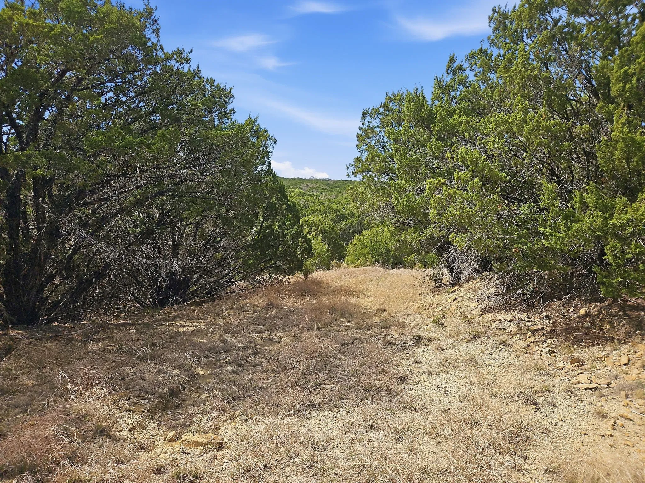 Farm For Sale in Coryell County , 880 County Road 158, Evant, Texas 76525, 3 Bedroom, 2 Bathroom, Garage spaces, 1,596 Sqft, built in 1983, mls#21220503, Real Estate Agent in Evant, Homes For Sale in Coryell county, Homes For Sale in Evant, Realtor in Evant Texas, Real Estate Brokerage Independent Realty Texas, Luminita Cordes Realtor