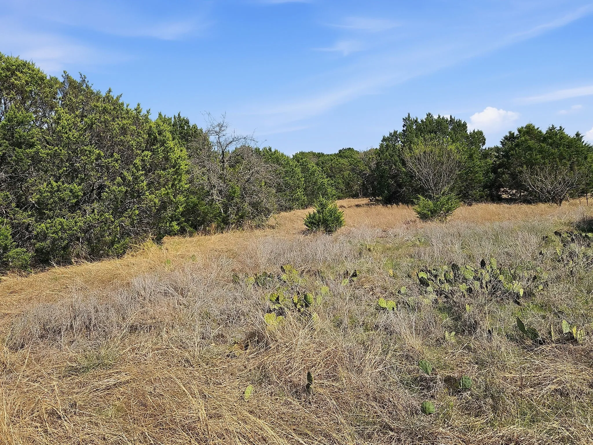 Farm For Sale in Coryell County , 880 County Road 158, Evant, Texas 76525, 3 Bedroom, 2 Bathroom, Garage spaces, 1,596 Sqft, built in 1983, mls#21220503, Real Estate Agent in Evant, Homes For Sale in Coryell county, Homes For Sale in Evant, Realtor in Evant Texas, Real Estate Brokerage Independent Realty Texas, Luminita Cordes Realtor