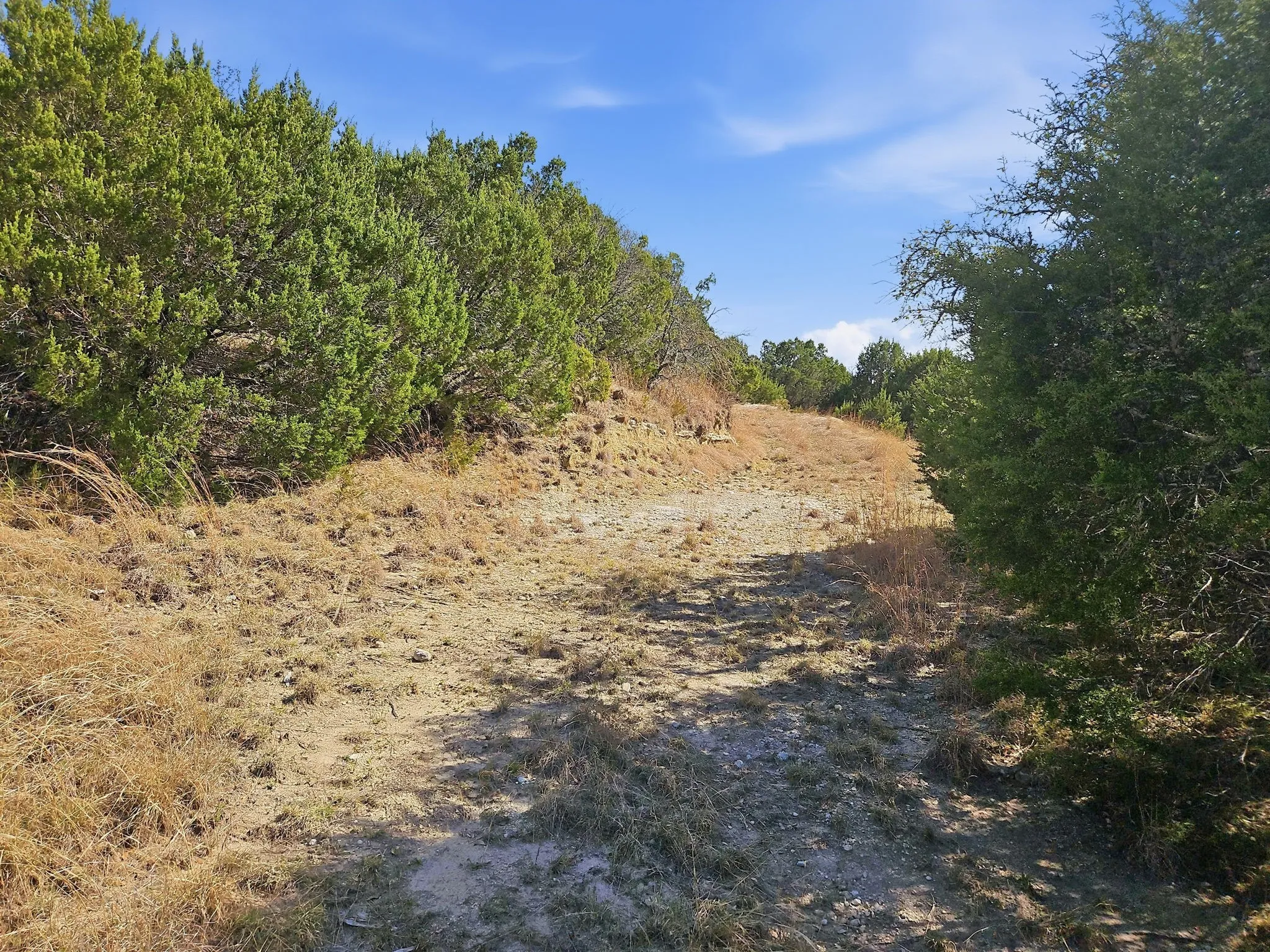 Farm For Sale in Coryell County , 880 County Road 158, Evant, Texas 76525, 3 Bedroom, 2 Bathroom, Garage spaces, 1,596 Sqft, built in 1983, mls#21220503, Real Estate Agent in Evant, Homes For Sale in Coryell county, Homes For Sale in Evant, Realtor in Evant Texas, Real Estate Brokerage Independent Realty Texas, Luminita Cordes Realtor