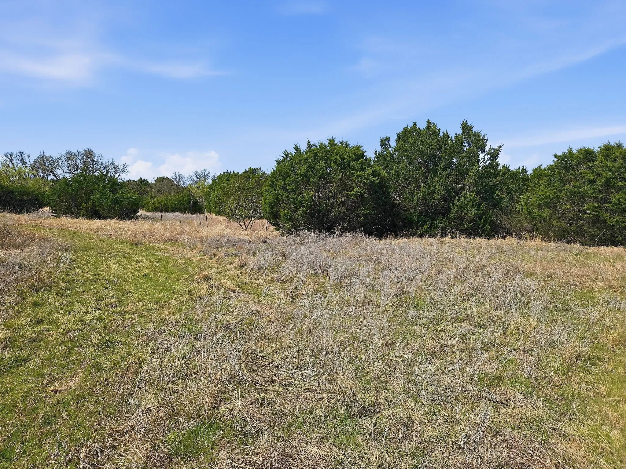 Farm For Sale in Coryell County , 880 County Road 158, Evant, Texas 76525, 3 Bedroom, 2 Bathroom, Garage spaces, 1,596 Sqft, built in 1983, mls#21220503, Real Estate Agent in Evant, Homes For Sale in Coryell county, Homes For Sale in Evant, Realtor in Evant Texas, Real Estate Brokerage Independent Realty Texas, Luminita Cordes Realtor