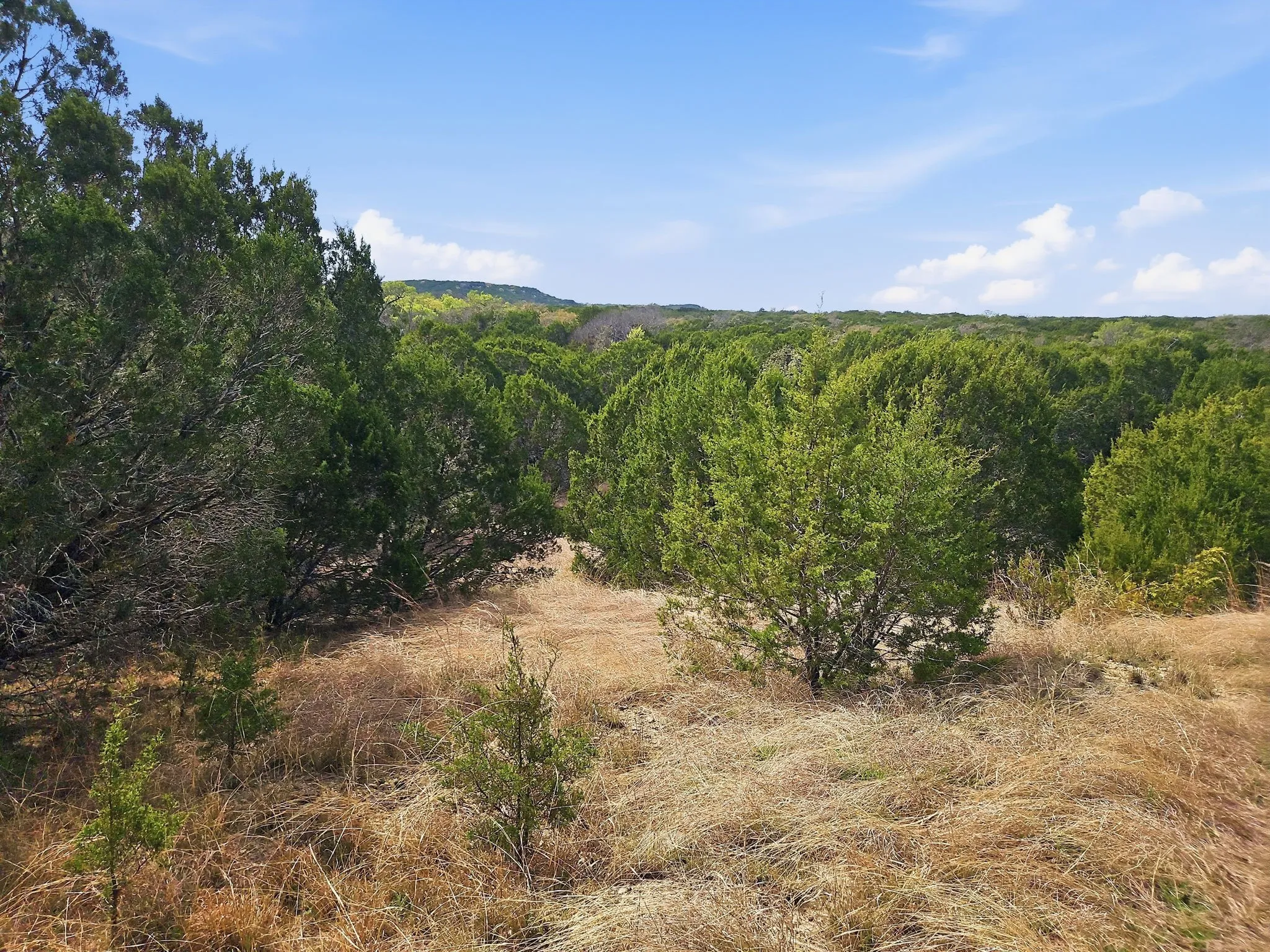 Farm For Sale in Coryell County , 880 County Road 158, Evant, Texas 76525, 3 Bedroom, 2 Bathroom, Garage spaces, 1,596 Sqft, built in 1983, mls#21220503, Real Estate Agent in Evant, Homes For Sale in Coryell county, Homes For Sale in Evant, Realtor in Evant Texas, Real Estate Brokerage Independent Realty Texas, Luminita Cordes Realtor