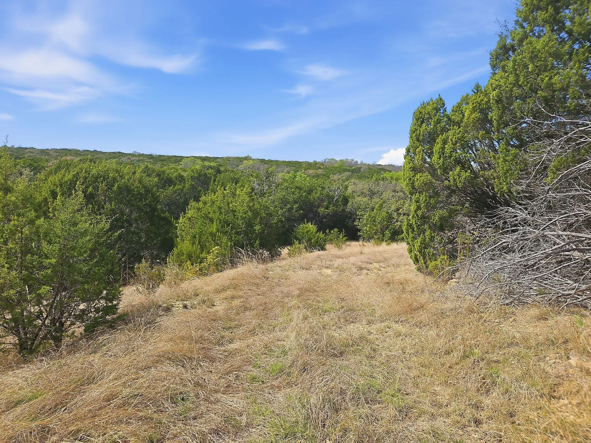 Farm For Sale in Coryell County , 880 County Road 158, Evant, Texas 76525, 3 Bedroom, 2 Bathroom, Garage spaces, 1,596 Sqft, built in 1983, mls#21220503, Real Estate Agent in Evant, Homes For Sale in Coryell county, Homes For Sale in Evant, Realtor in Evant Texas, Real Estate Brokerage Independent Realty Texas, Luminita Cordes Realtor