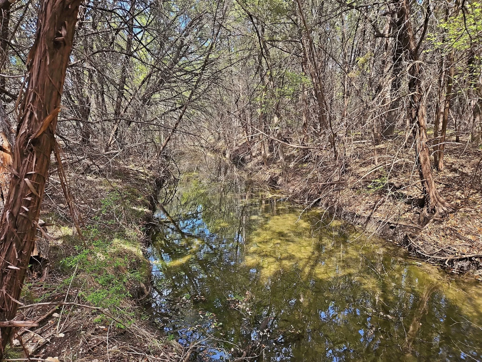 Farm For Sale in Coryell County , 880 County Road 158, Evant, Texas 76525, 3 Bedroom, 2 Bathroom, Garage spaces, 1,596 Sqft, built in 1983, mls#21220503, Real Estate Agent in Evant, Homes For Sale in Coryell county, Homes For Sale in Evant, Realtor in Evant Texas, Real Estate Brokerage Independent Realty Texas, Luminita Cordes Realtor