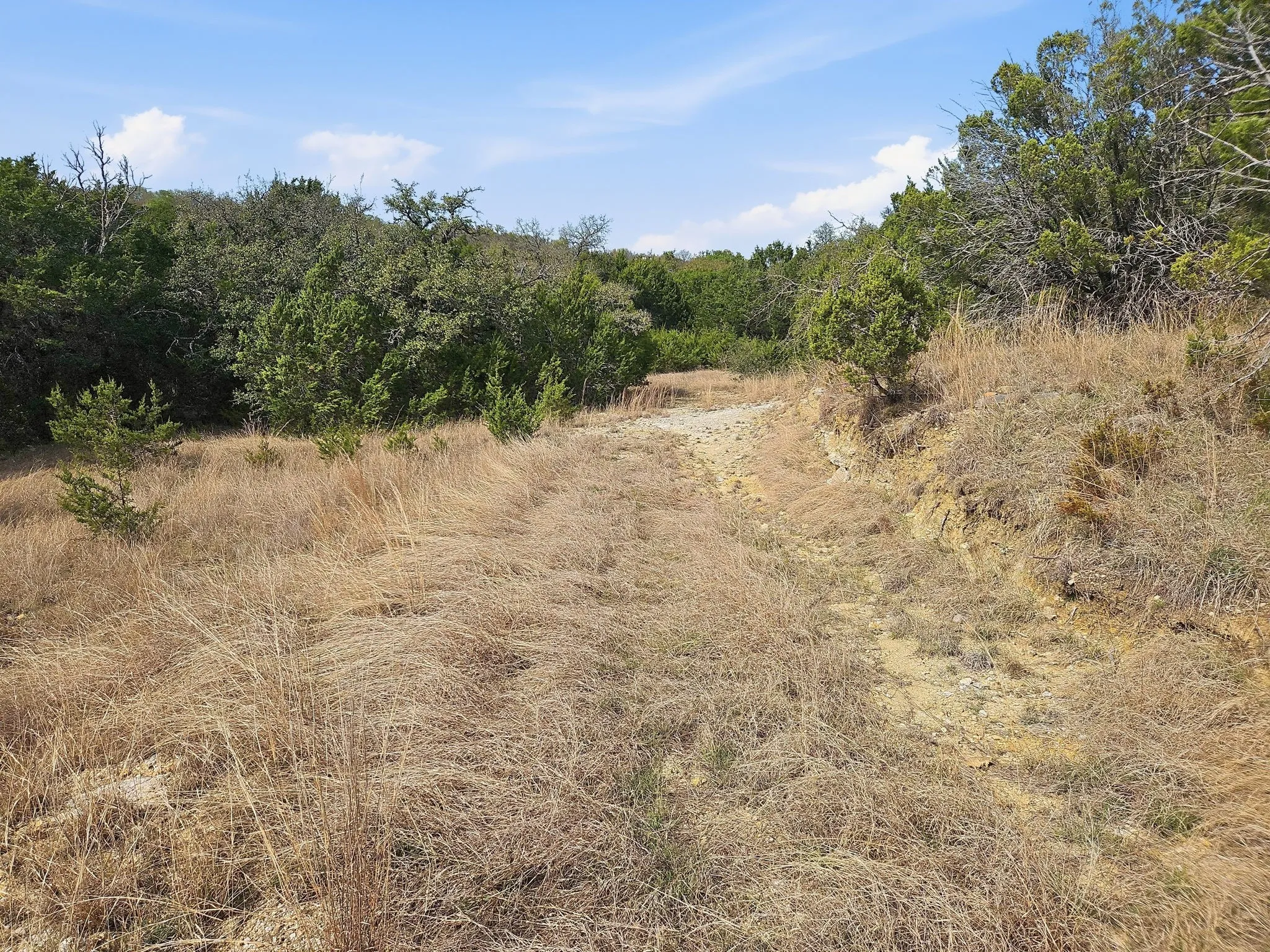 Farm For Sale in Coryell County , 880 County Road 158, Evant, Texas 76525, 3 Bedroom, 2 Bathroom, Garage spaces, 1,596 Sqft, built in 1983, mls#21220503, Real Estate Agent in Evant, Homes For Sale in Coryell county, Homes For Sale in Evant, Realtor in Evant Texas, Real Estate Brokerage Independent Realty Texas, Luminita Cordes Realtor