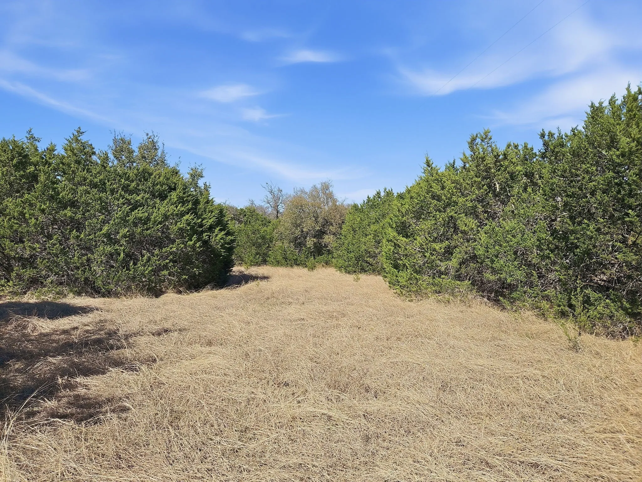 Farm For Sale in Coryell County , 880 County Road 158, Evant, Texas 76525, 3 Bedroom, 2 Bathroom, Garage spaces, 1,596 Sqft, built in 1983, mls#21220503, Real Estate Agent in Evant, Homes For Sale in Coryell county, Homes For Sale in Evant, Realtor in Evant Texas, Real Estate Brokerage Independent Realty Texas, Luminita Cordes Realtor