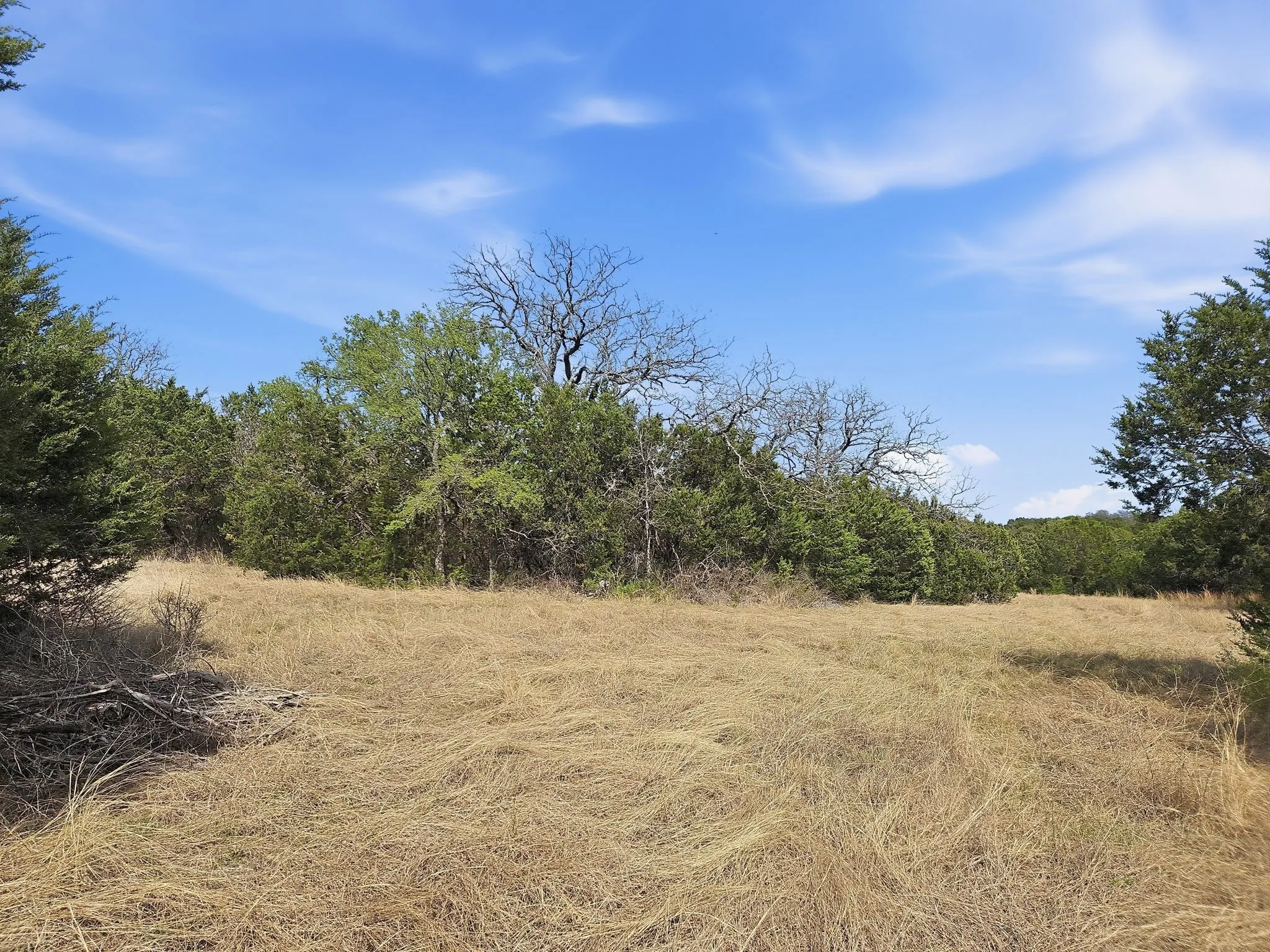 Farm For Sale in Coryell County , 880 County Road 158, Evant, Texas 76525, 3 Bedroom, 2 Bathroom, Garage spaces, 1,596 Sqft, built in 1983, mls#21220503, Real Estate Agent in Evant, Homes For Sale in Coryell county, Homes For Sale in Evant, Realtor in Evant Texas, Real Estate Brokerage Independent Realty Texas, Luminita Cordes Realtor