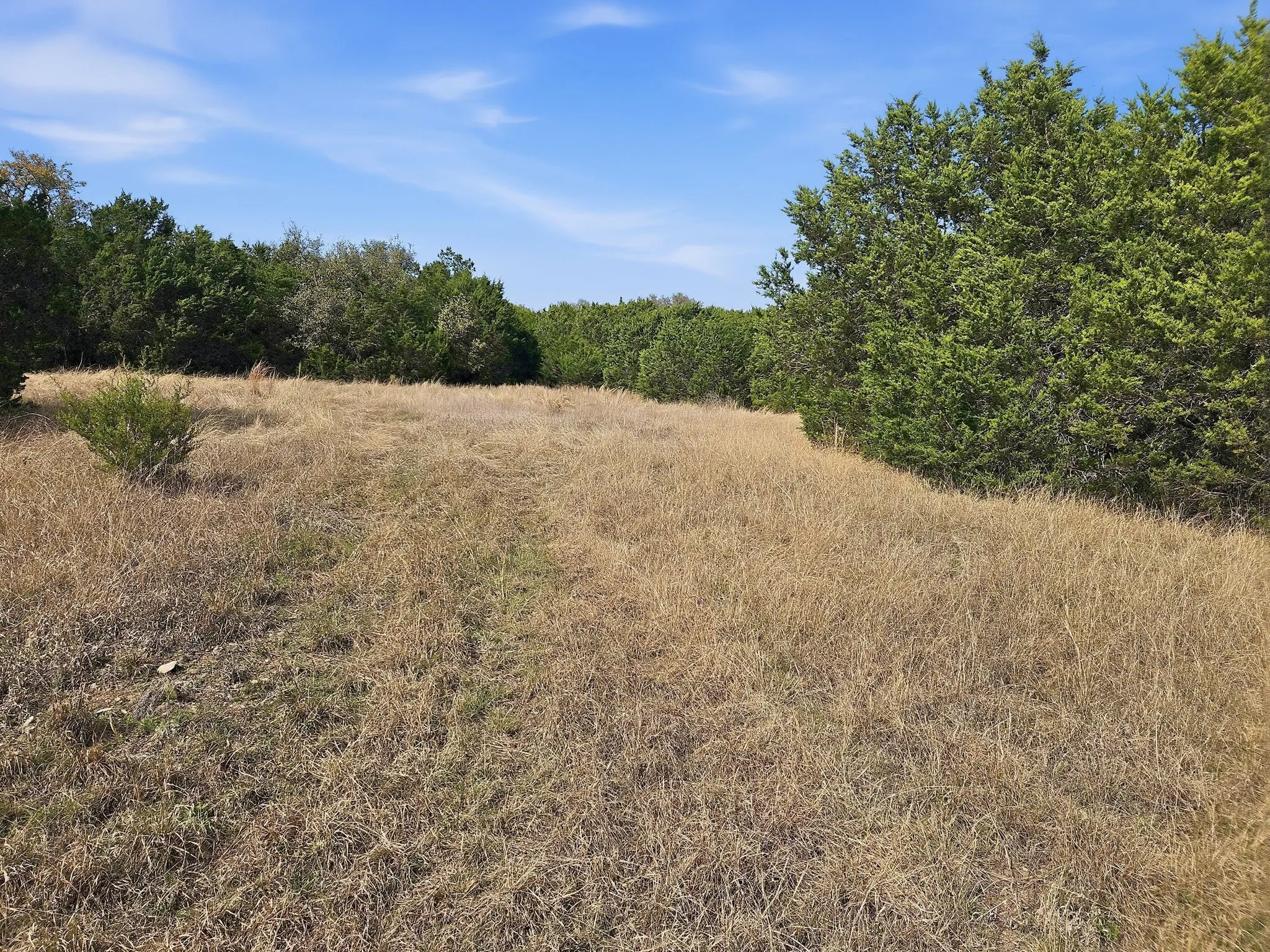 Farm For Sale in Coryell County , 880 County Road 158, Evant, Texas 76525, 3 Bedroom, 2 Bathroom, Garage spaces, 1,596 Sqft, built in 1983, mls#21220503, Real Estate Agent in Evant, Homes For Sale in Coryell county, Homes For Sale in Evant, Realtor in Evant Texas, Real Estate Brokerage Independent Realty Texas, Luminita Cordes Realtor