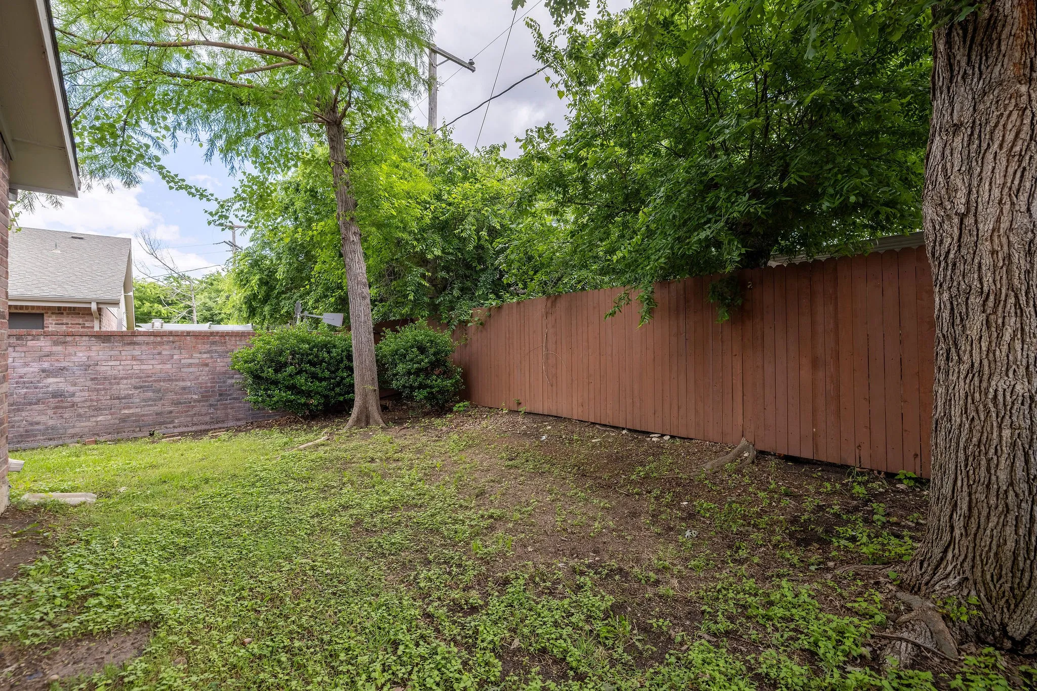 View of fenced backyard