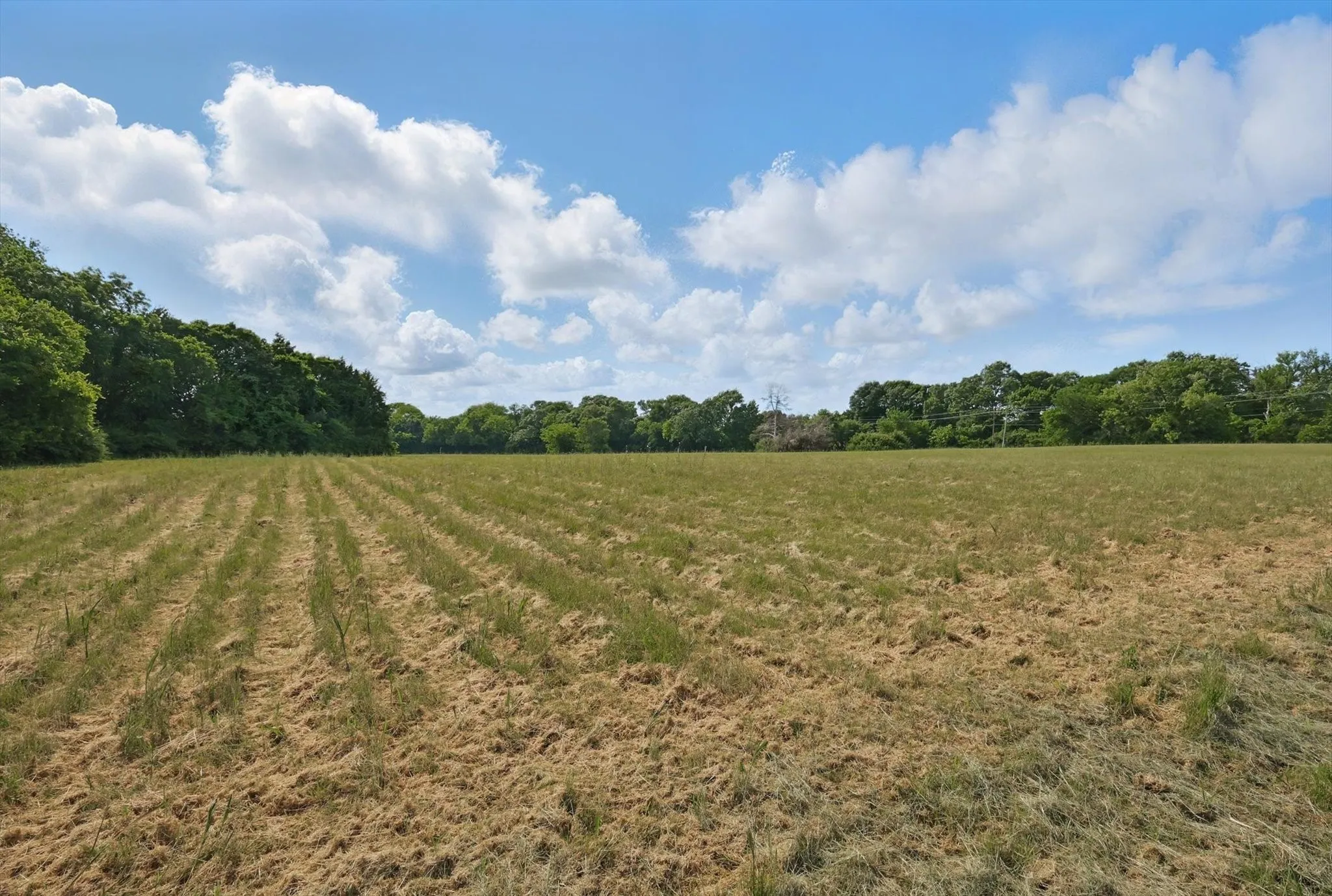 Unimproved Land For Sale in Dallas County , 699 W Wintergreen Road, De Soto, Texas 75115, 0, 0, Garage spaces, 0 Sqft, built in 0, Price $995,000, mls#21220645, Real Estate Agent in De Soto, Homes For Sale in Dallas county, Homes For Sale in De Soto, Realtor in De Soto Texas, Real Estate Brokerage Independent Realty Texas, Luminita Cordes Realtor