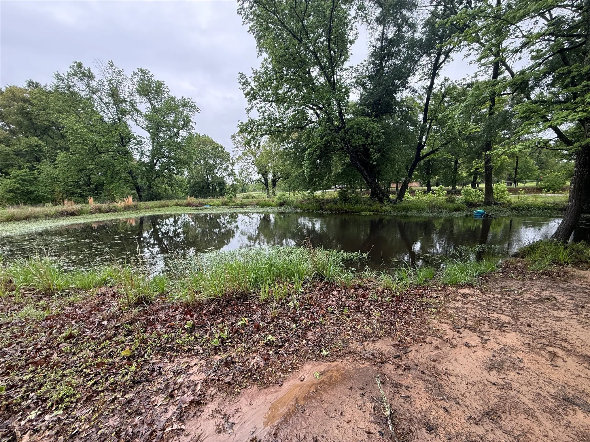 Unimproved Land For Sale in Henderson County , TBD FM 773, Murchison, Texas 75778, 0, 0, Garage spaces, 0 Sqft, built in 1993, mls#21220702, Real Estate Agent in Murchison, Homes For Sale in Henderson county, Homes For Sale in Murchison, Realtor in Murchison Texas, Real Estate Brokerage Independent Realty Texas, Luminita Cordes Realtor
