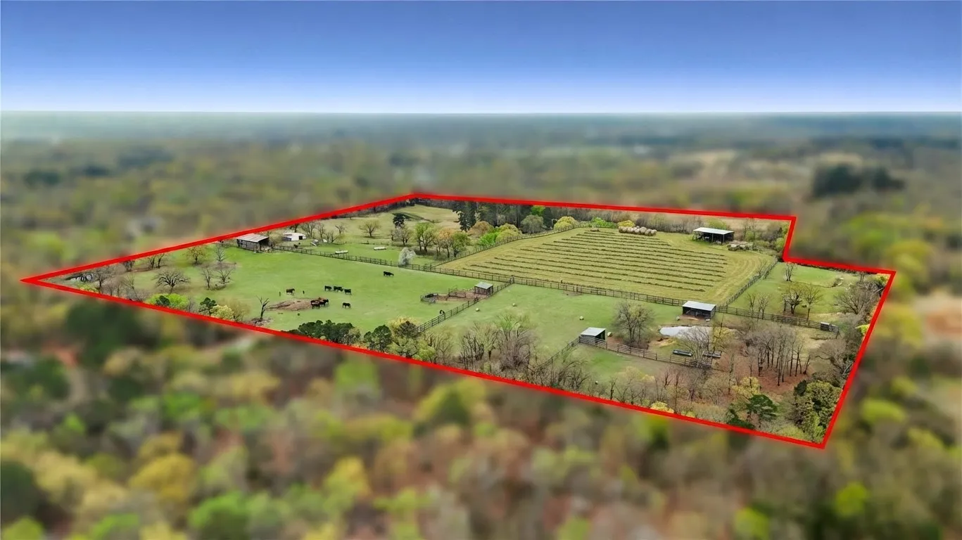 Unimproved Land For Sale in Henderson County , TBD FM 773, Murchison, Texas 75778, 0, 0, Garage spaces, 0 Sqft, built in 1993, mls#21220702, Real Estate Agent in Murchison, Homes For Sale in Henderson county, Homes For Sale in Murchison, Realtor in Murchison Texas, Real Estate Brokerage Independent Realty Texas, Luminita Cordes Realtor