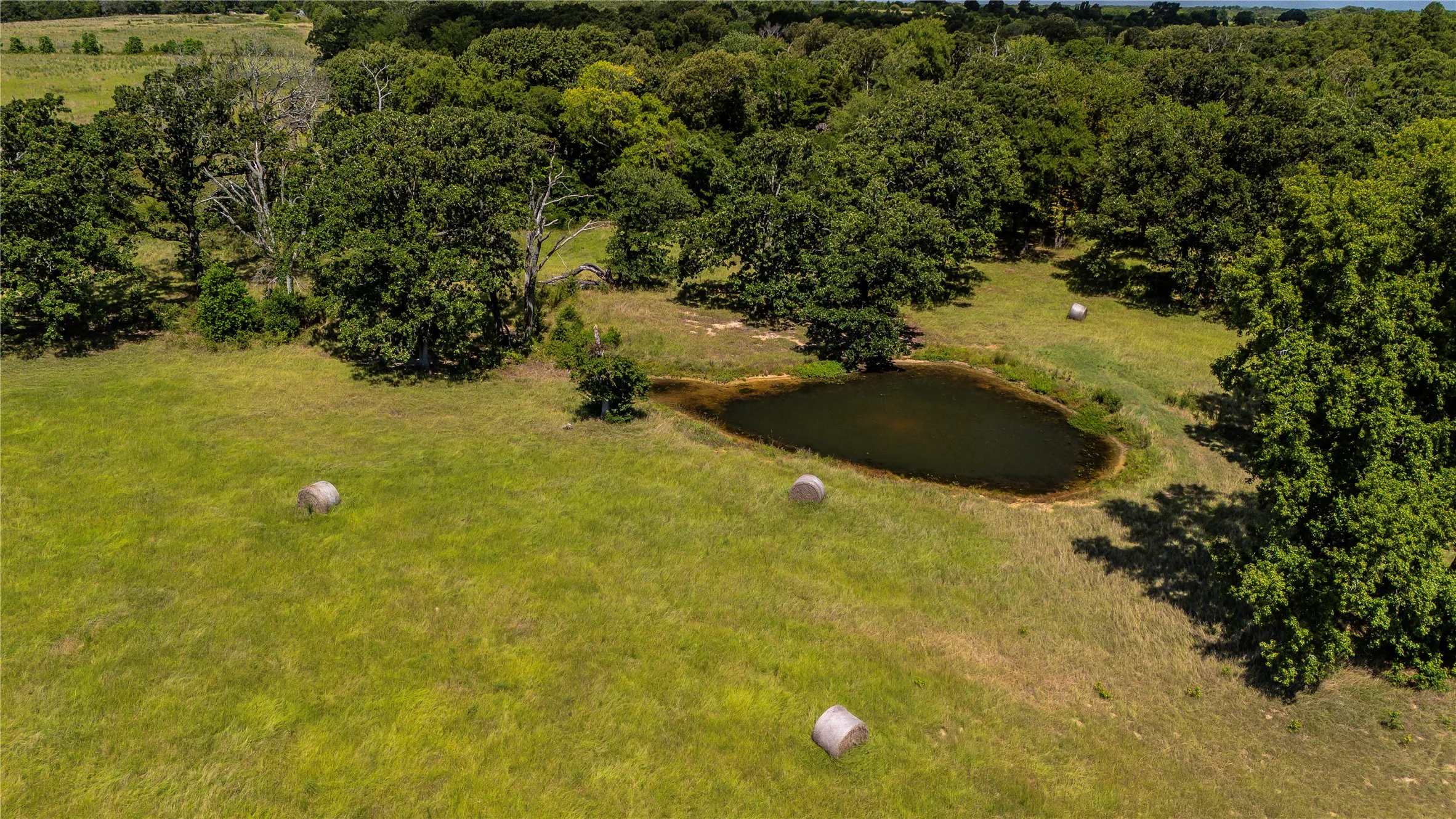 Unimproved Land For Sale in Henderson County , TBD FM 773, Murchison, Texas 75778, 0, 0, Garage spaces, 0 Sqft, built in 1993, mls#21220702, Real Estate Agent in Murchison, Homes For Sale in Henderson county, Homes For Sale in Murchison, Realtor in Murchison Texas, Real Estate Brokerage Independent Realty Texas, Luminita Cordes Realtor