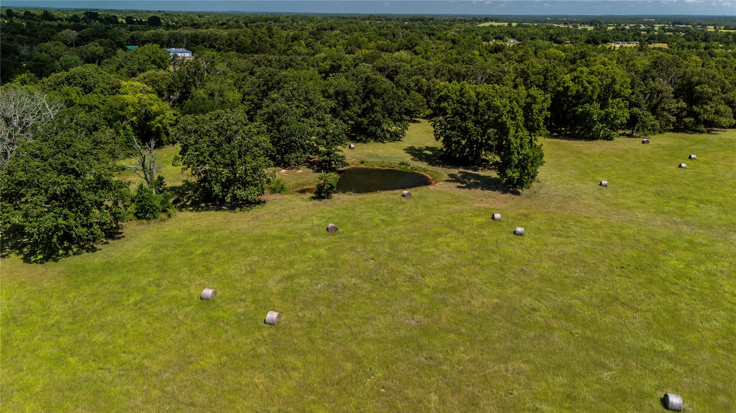 Unimproved Land For Sale in Henderson County , TBD FM 773, Murchison, Texas 75778, 0, 0, Garage spaces, 0 Sqft, built in 1993, mls#21220702, Real Estate Agent in Murchison, Homes For Sale in Henderson county, Homes For Sale in Murchison, Realtor in Murchison Texas, Real Estate Brokerage Independent Realty Texas, Luminita Cordes Realtor