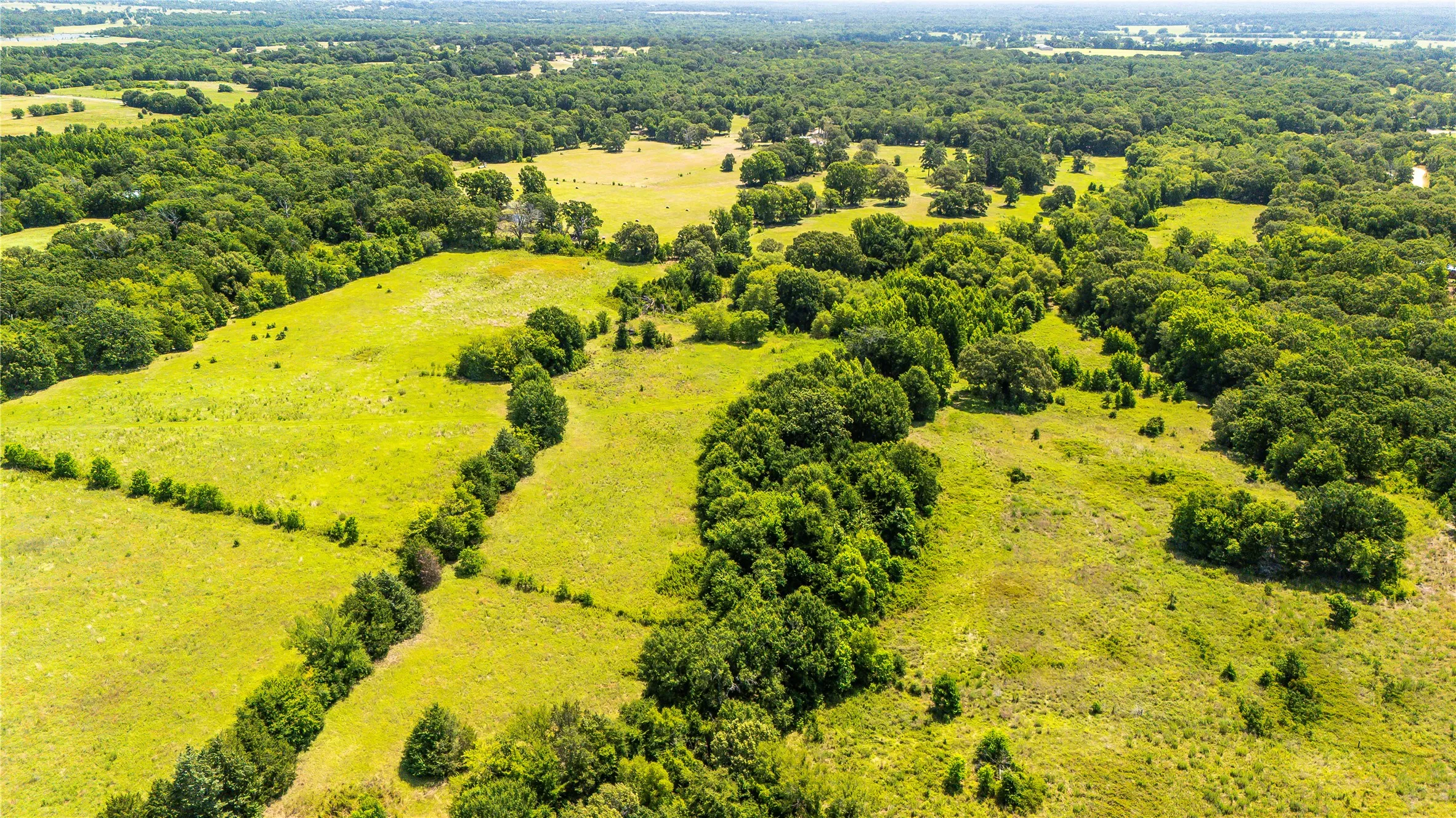 Unimproved Land For Sale in Henderson County , TBD FM 773, Murchison, Texas 75778, 0, 0, Garage spaces, 0 Sqft, built in 1993, mls#21220702, Real Estate Agent in Murchison, Homes For Sale in Henderson county, Homes For Sale in Murchison, Realtor in Murchison Texas, Real Estate Brokerage Independent Realty Texas, Luminita Cordes Realtor