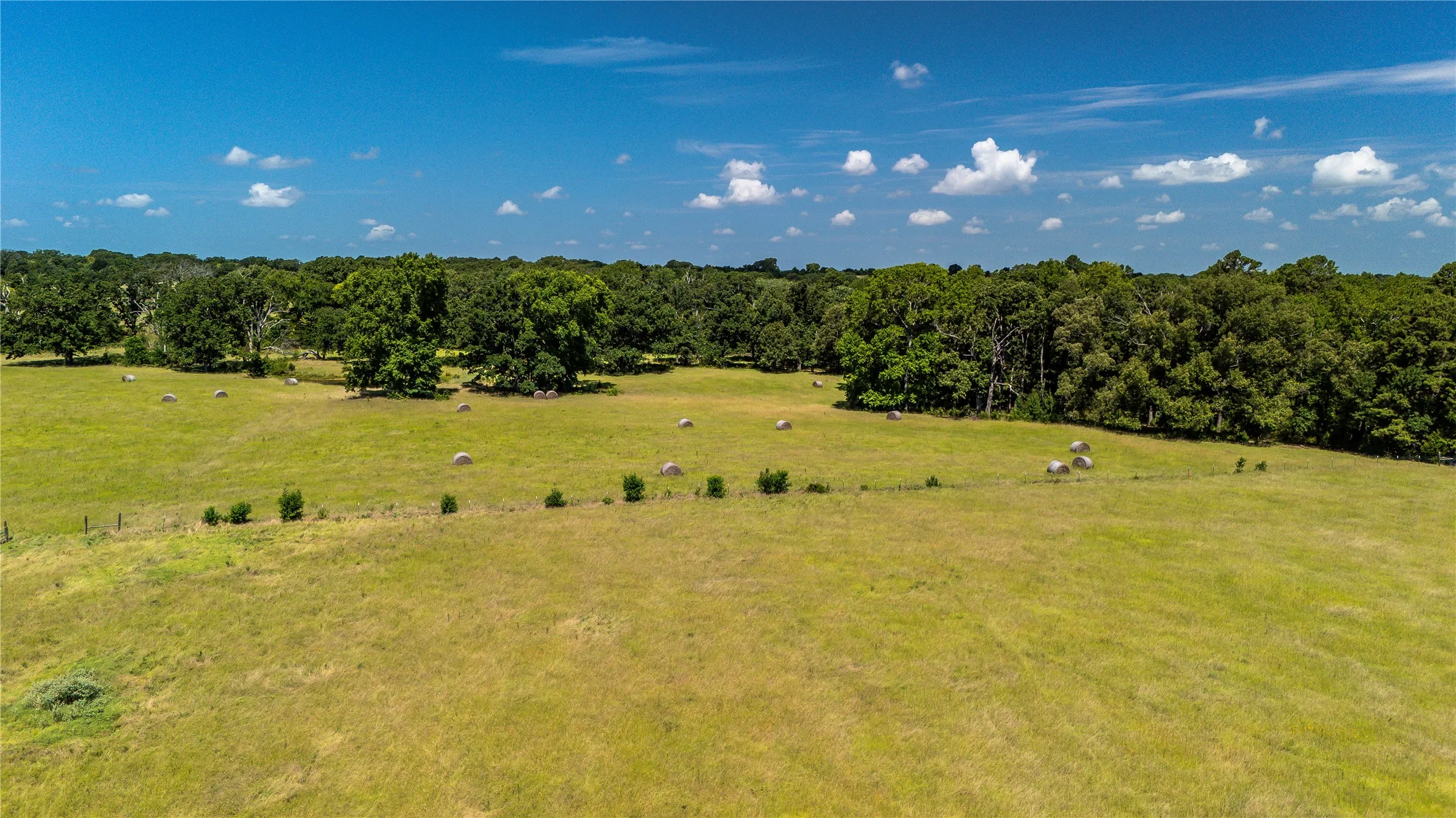 Unimproved Land For Sale in Henderson County , TBD FM 773, Murchison, Texas 75778, 0, 0, Garage spaces, 0 Sqft, built in 1993, mls#21220702, Real Estate Agent in Murchison, Homes For Sale in Henderson county, Homes For Sale in Murchison, Realtor in Murchison Texas, Real Estate Brokerage Independent Realty Texas, Luminita Cordes Realtor